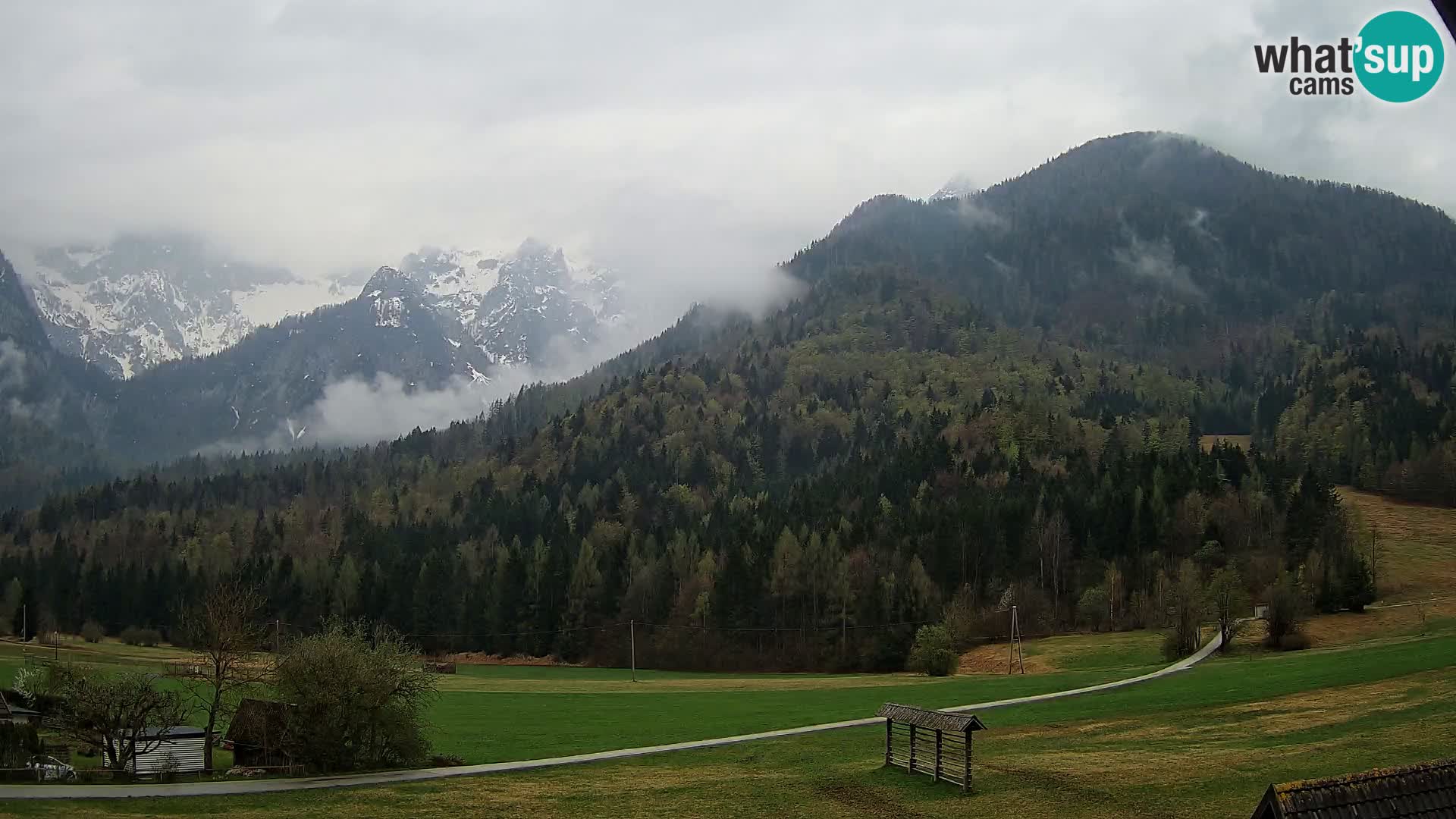 Gozd Martuljek – Špikova skupina