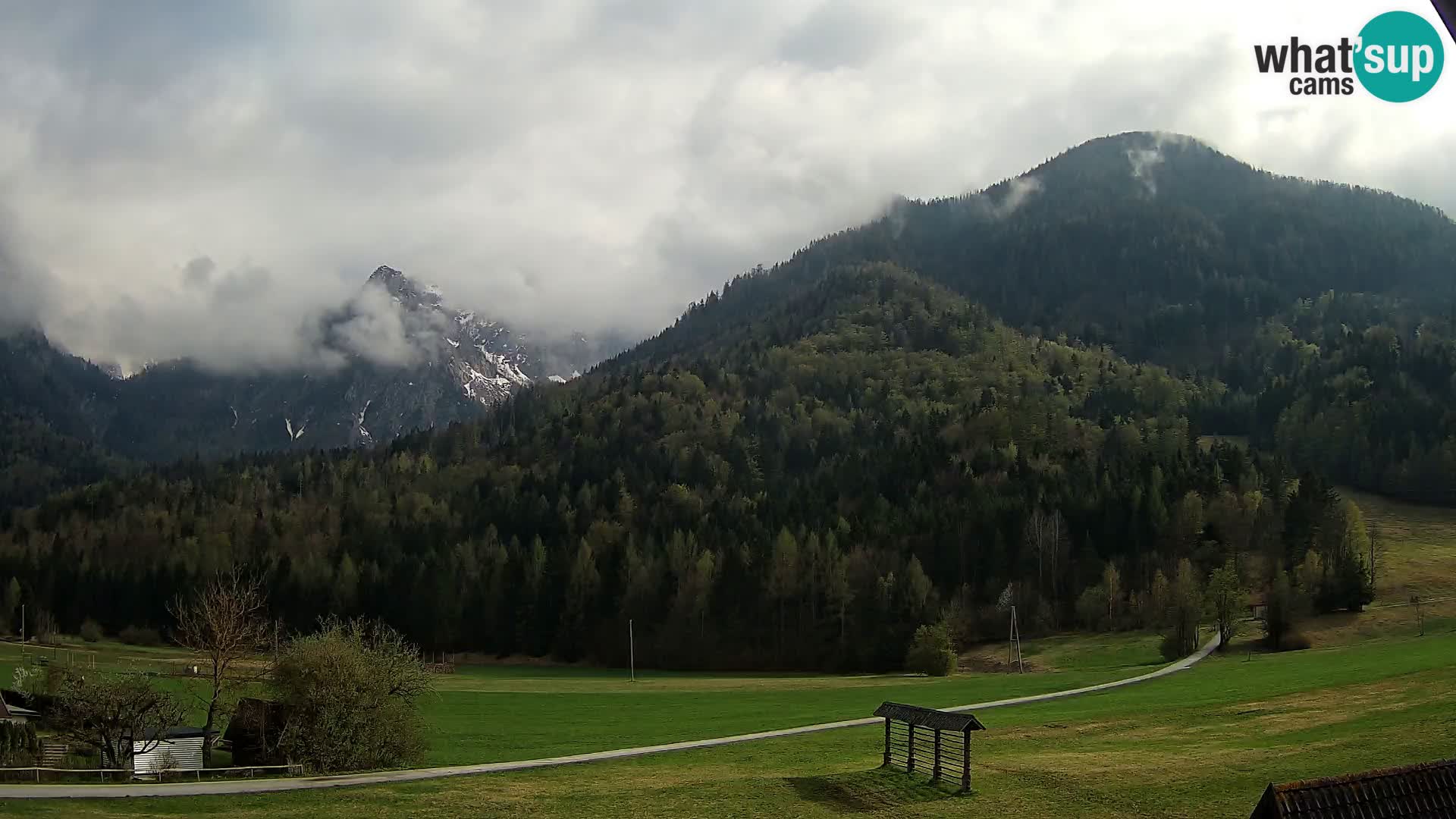 Gozd Martuljek – Špikova skupina