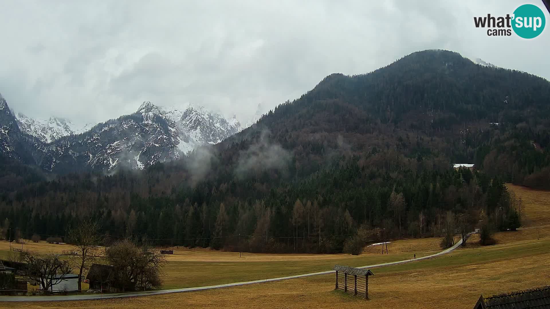 Gozd Martuljek – Špik Mountain Group