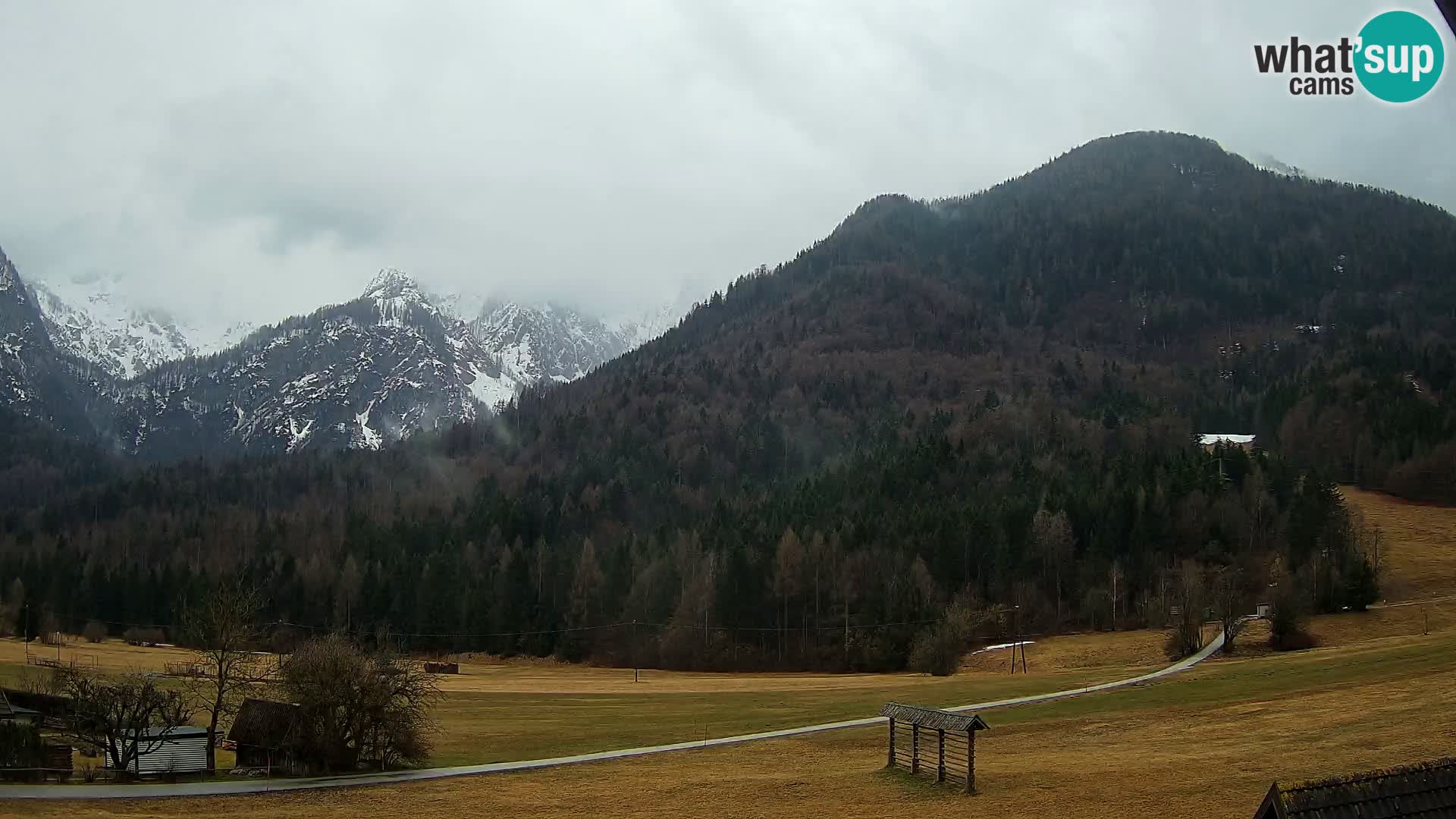 Gozd Martuljek – Špikova skupina