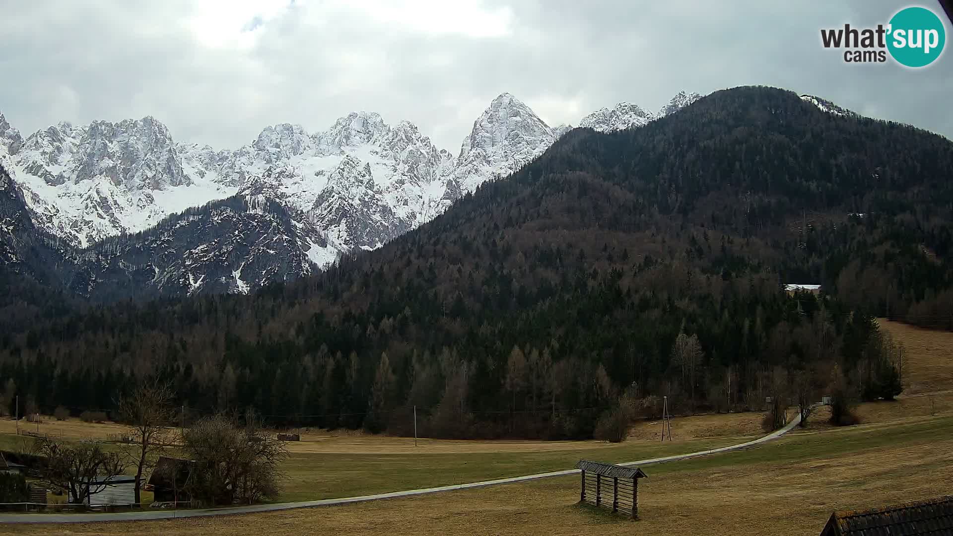 Gozd Martuljek – Špik Mountain Group