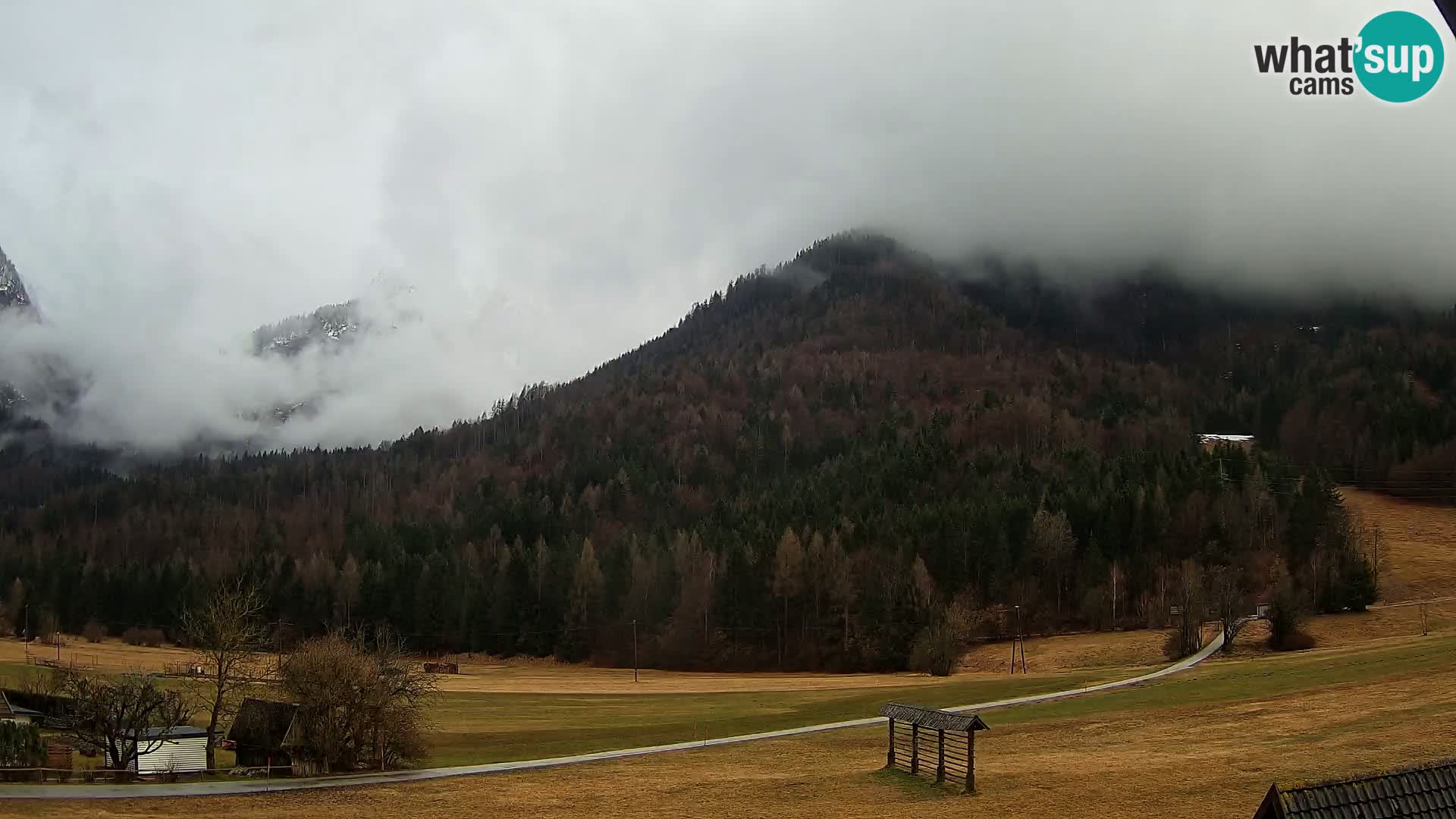 Gozd Martuljek – Špik Mountain Group