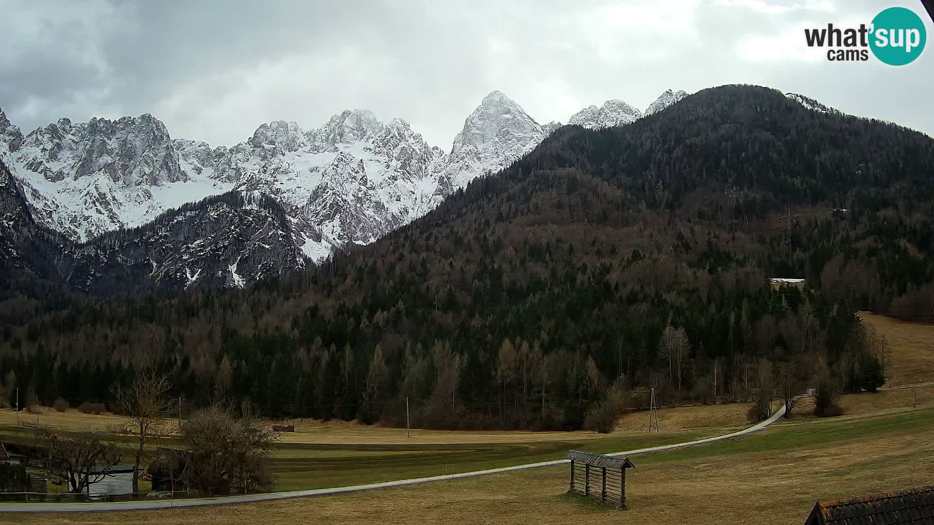 Gozd Martuljek – Špik Mountain Group