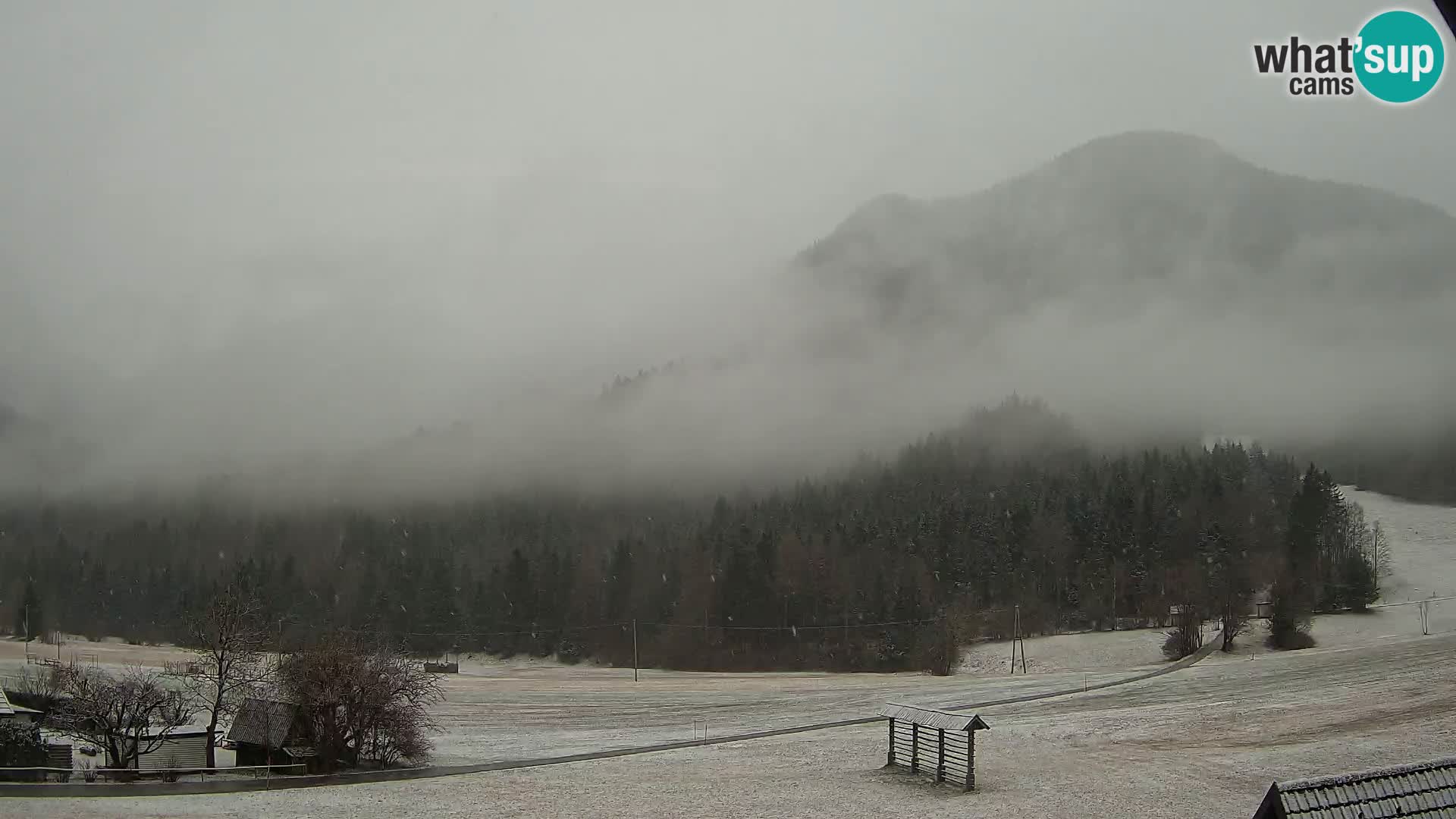 Gozd Martuljek – Špik Mountain Group