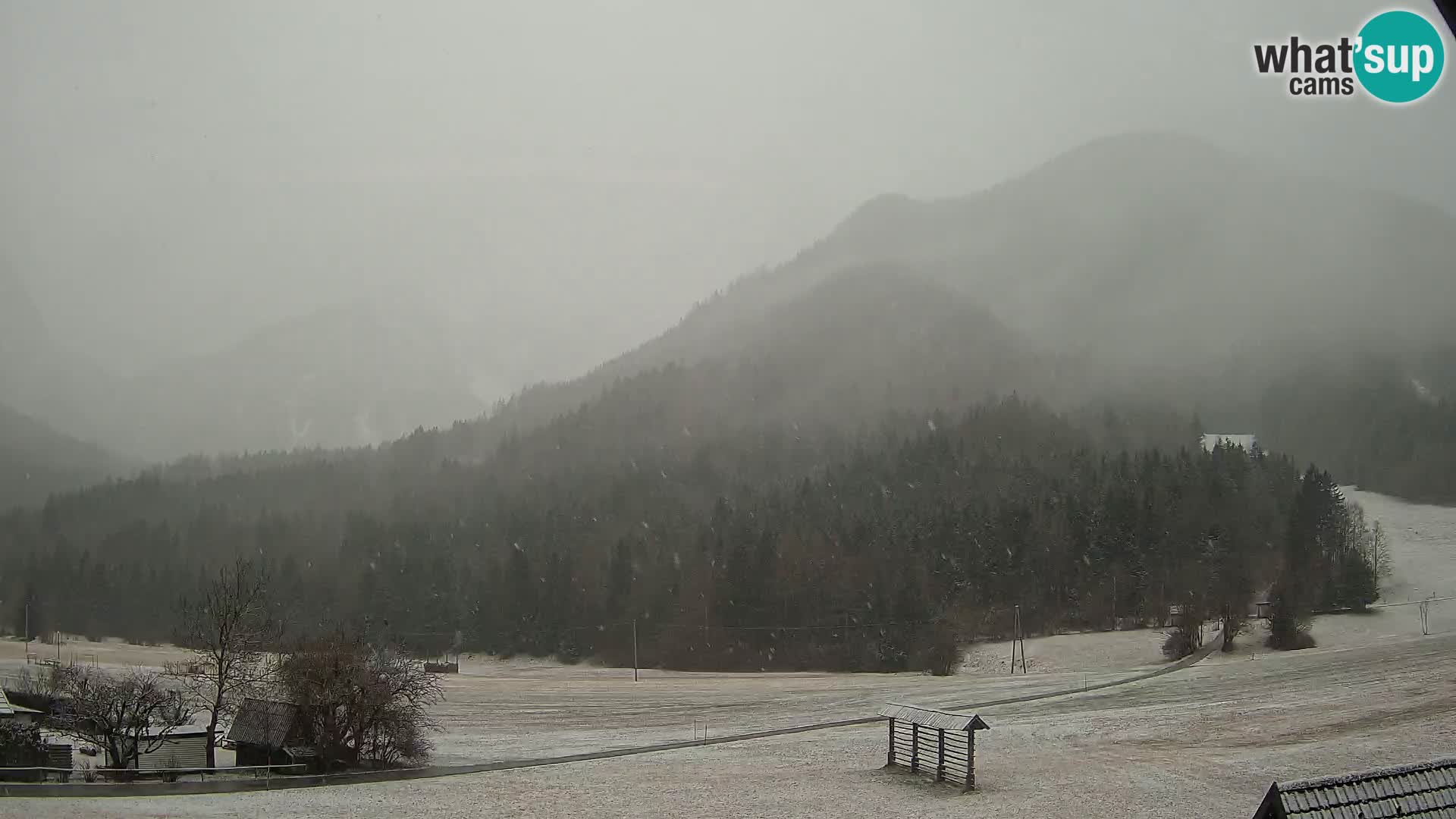 Gozd Martuljek – Špik Mountain Group