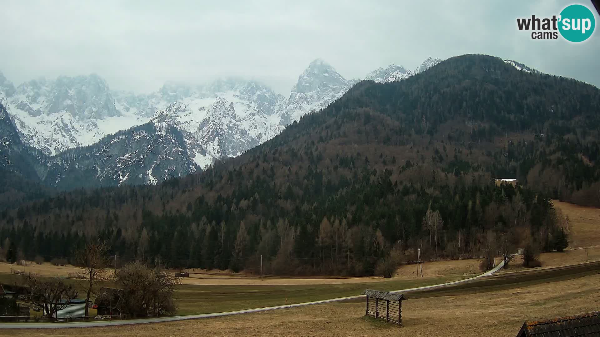 Gozd Martuljek – Špik Mountain Group