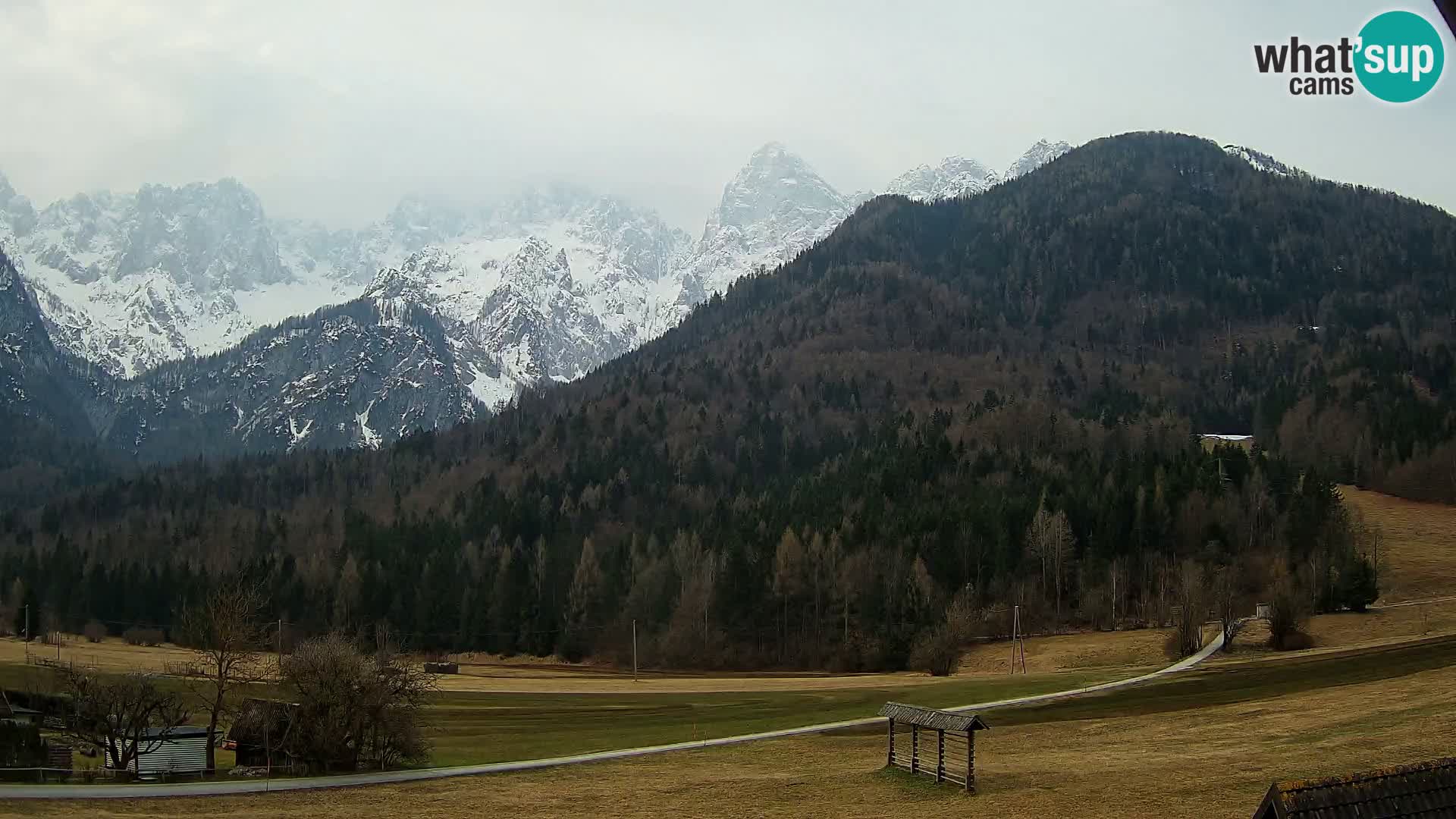 Gozd Martuljek – planinski lanac Špik