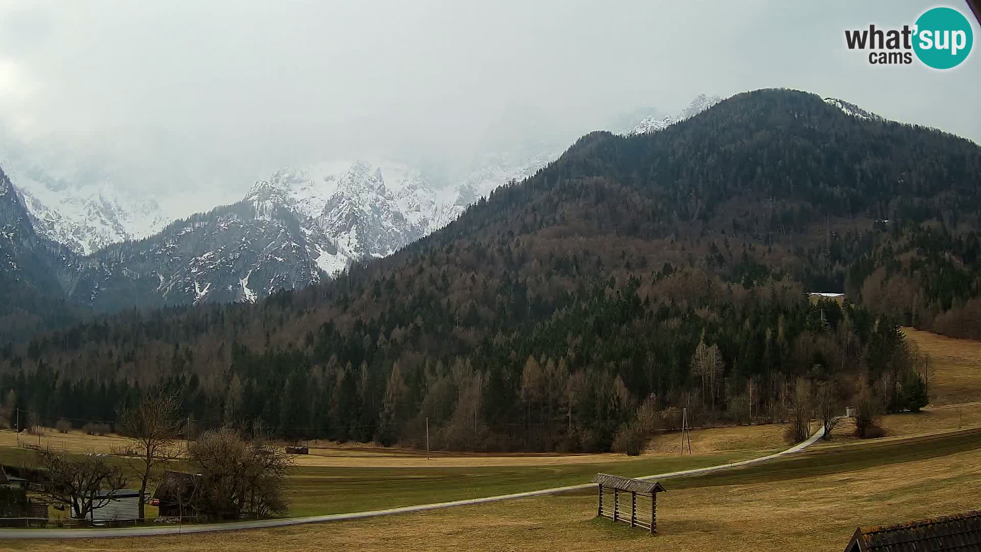 Gozd Martuljek – Špik Mountain Group