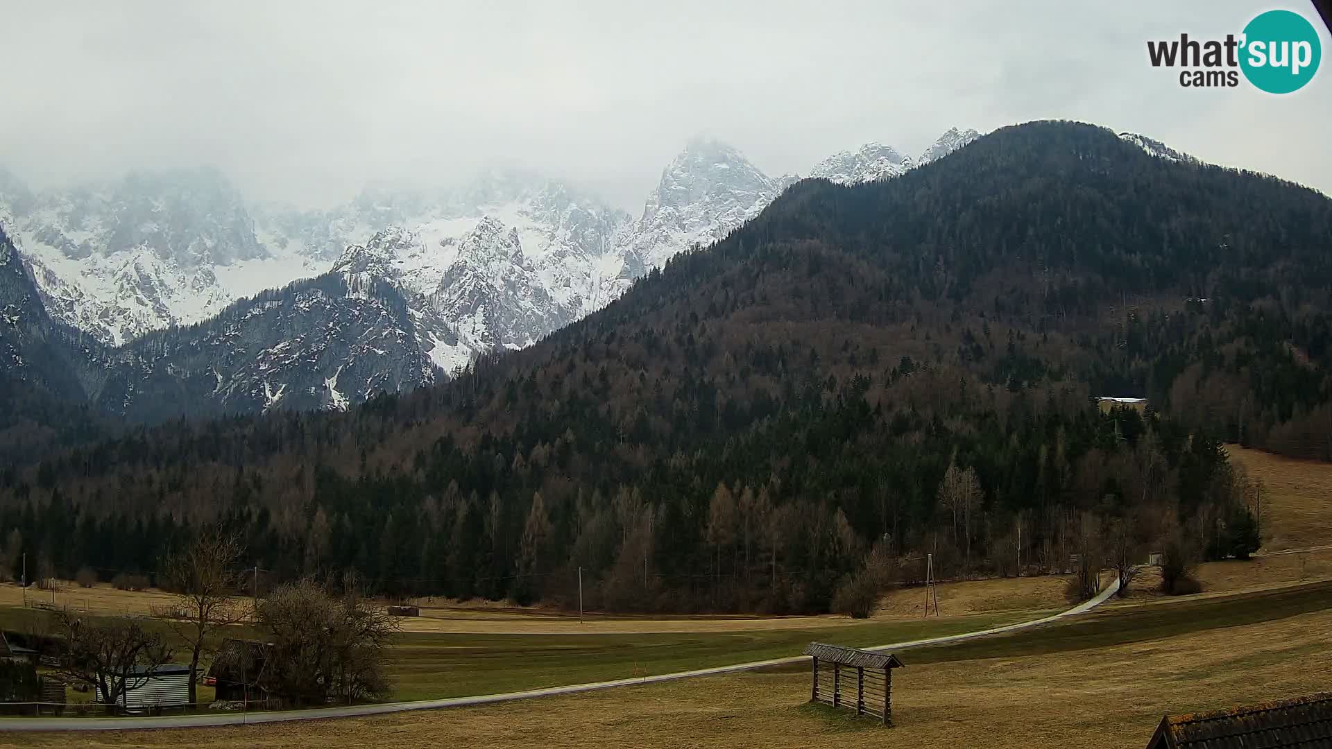 Gozd Martuljek – Špikova skupina