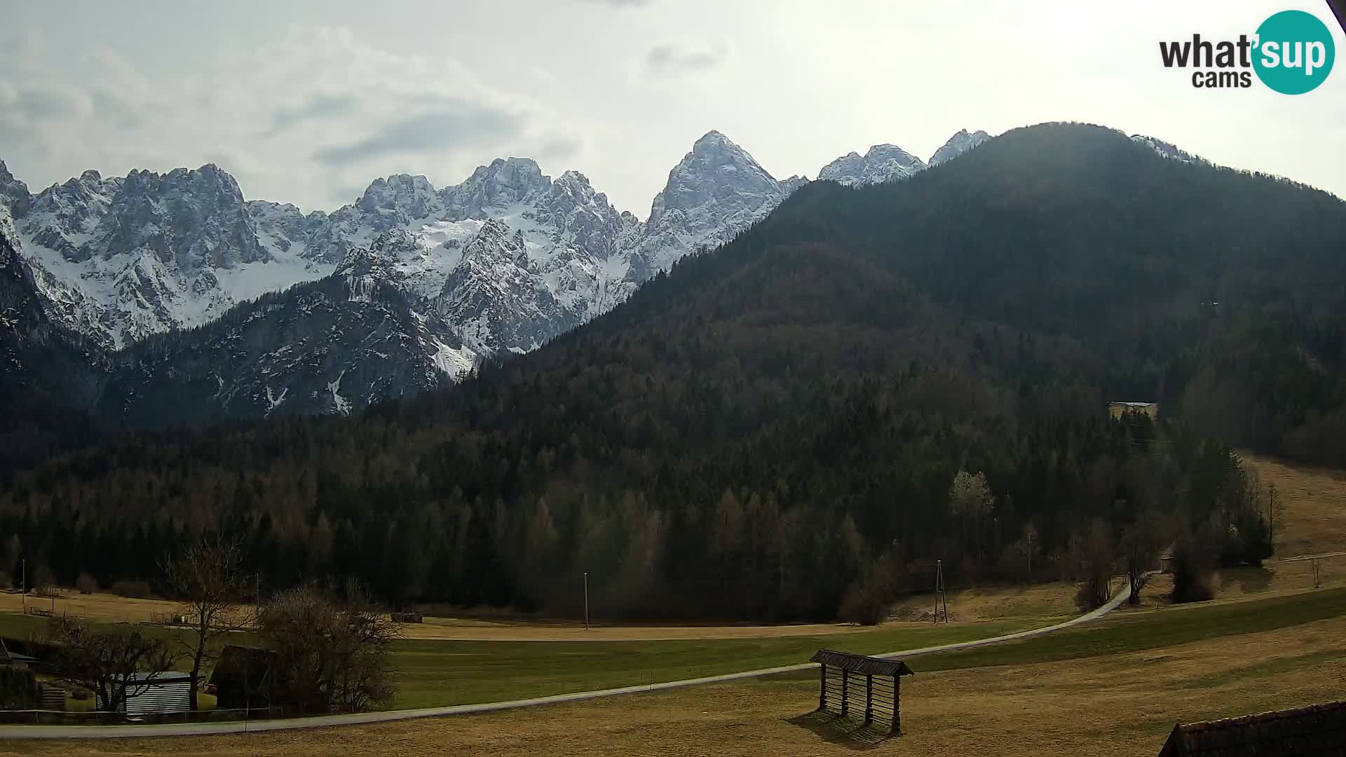 Gozd Martuljek – Špikova skupina