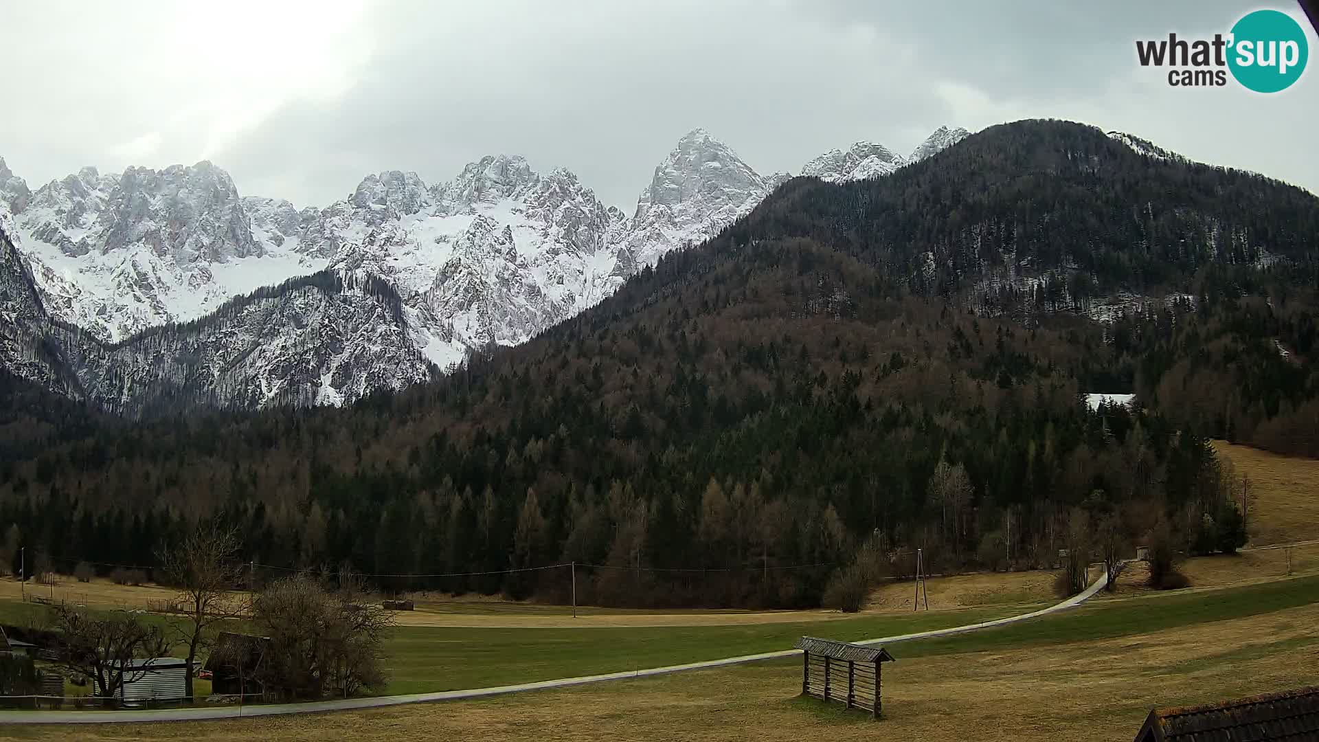 Gozd Martuljek – Špikova skupina