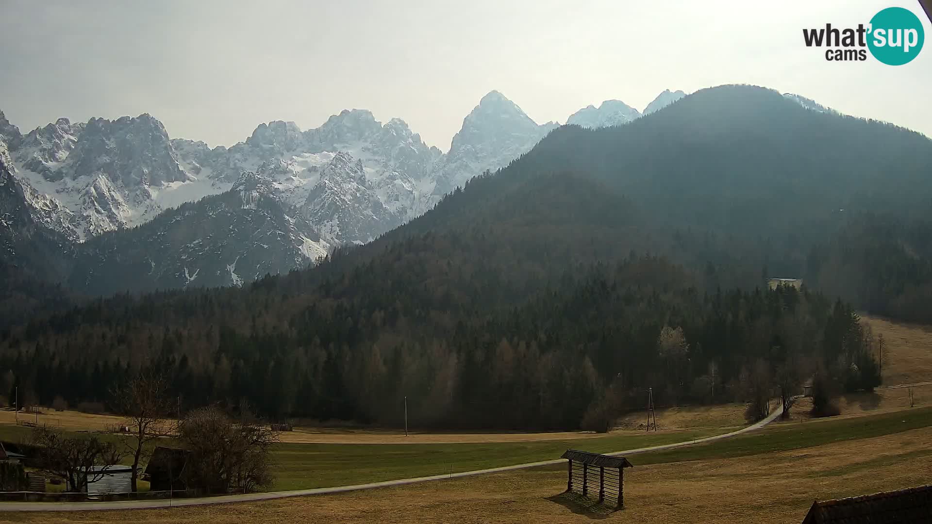 Gozd Martuljek – Špik Mountain Group