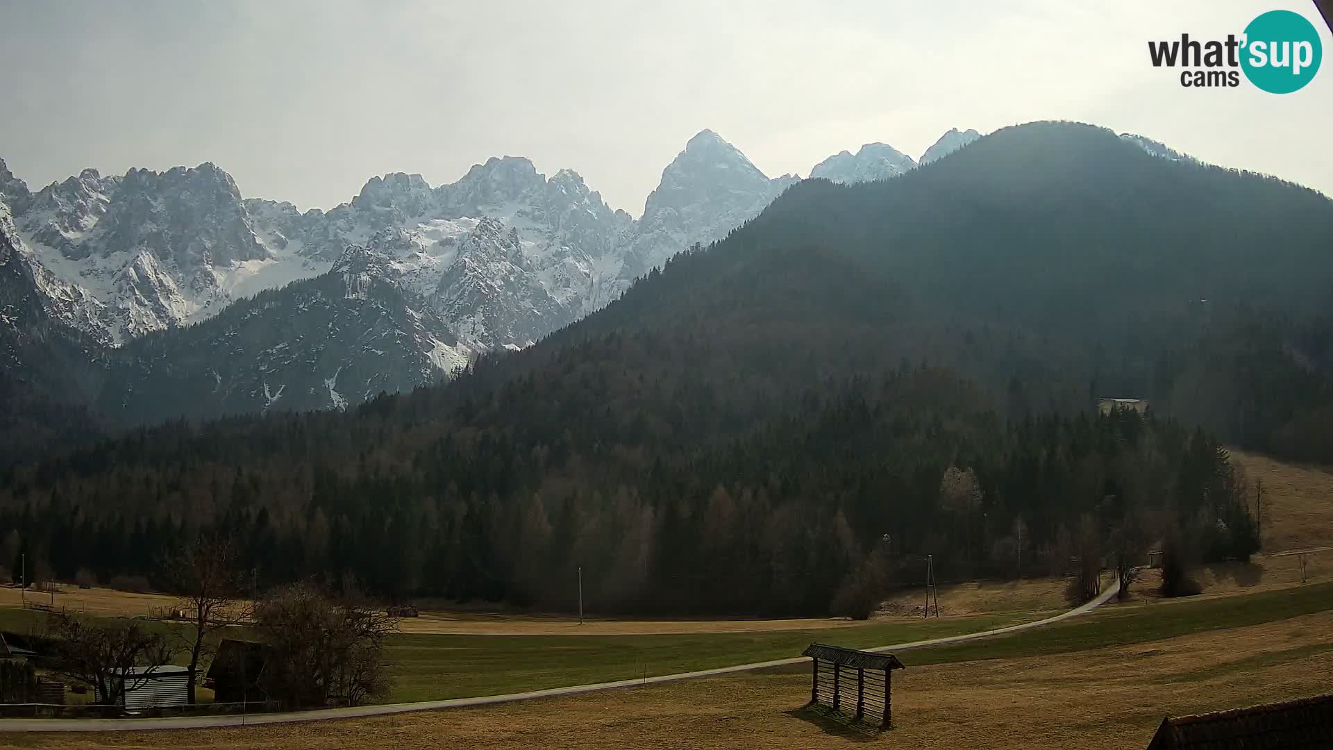 Gozd Martuljek – Špik Mountain Group