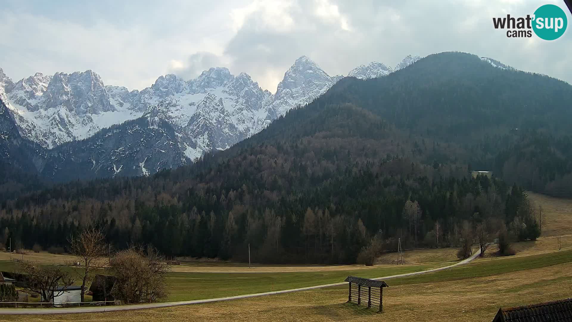 Gozd Martuljek – Špik Mountain Group