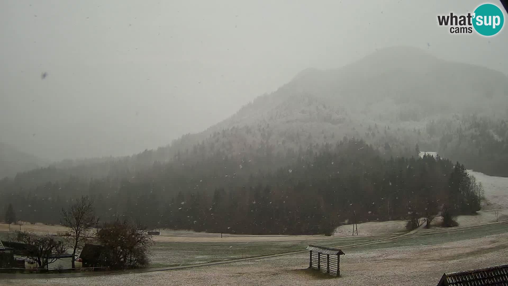 Gozd Martuljek – Špik-Gruppe