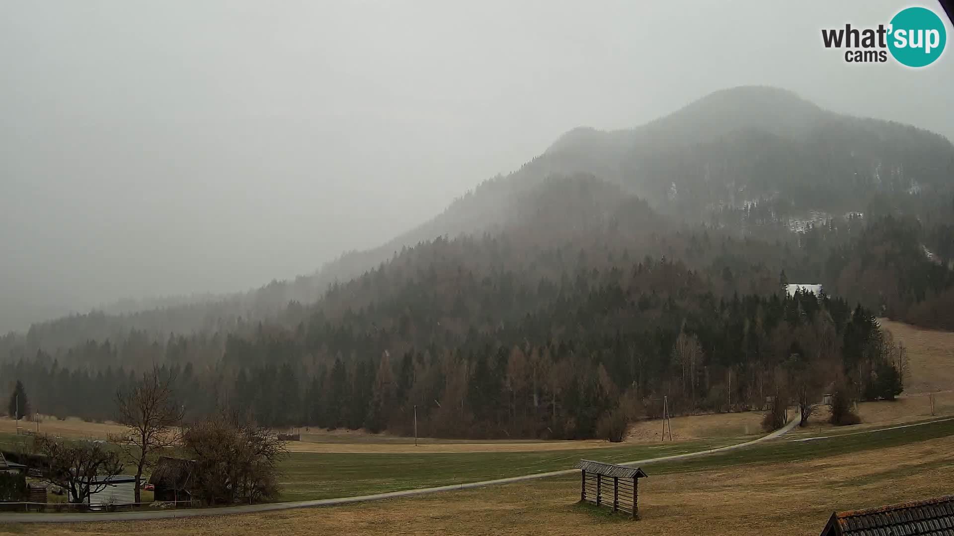 Gozd Martuljek – Špik Mountain Group