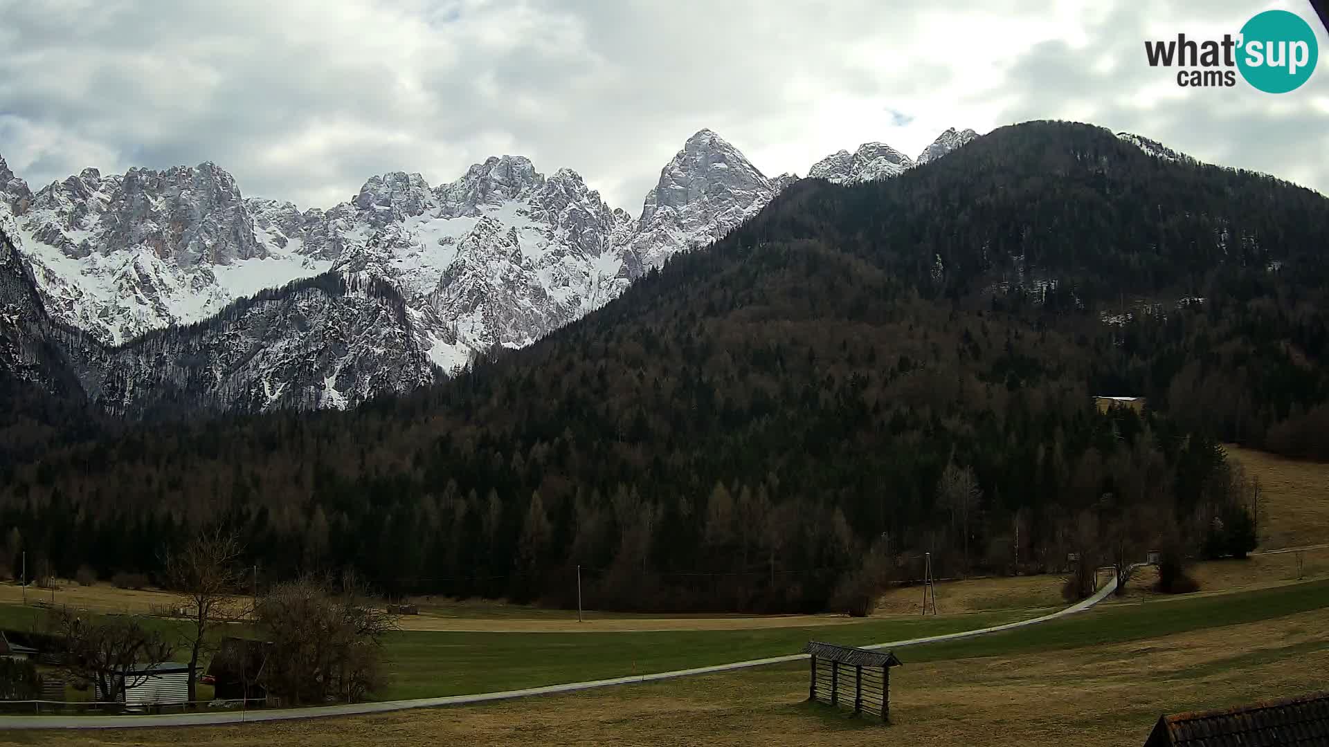 Gozd Martuljek – Špik Mountain Group