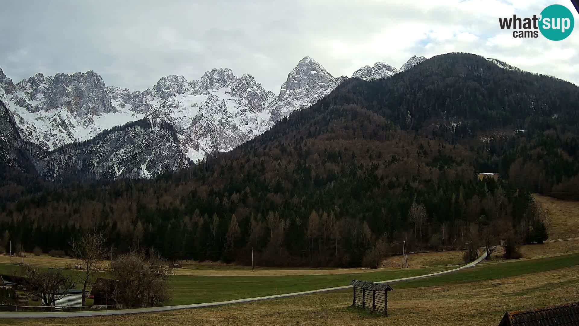 Gozd Martuljek – Špik Mountain Group