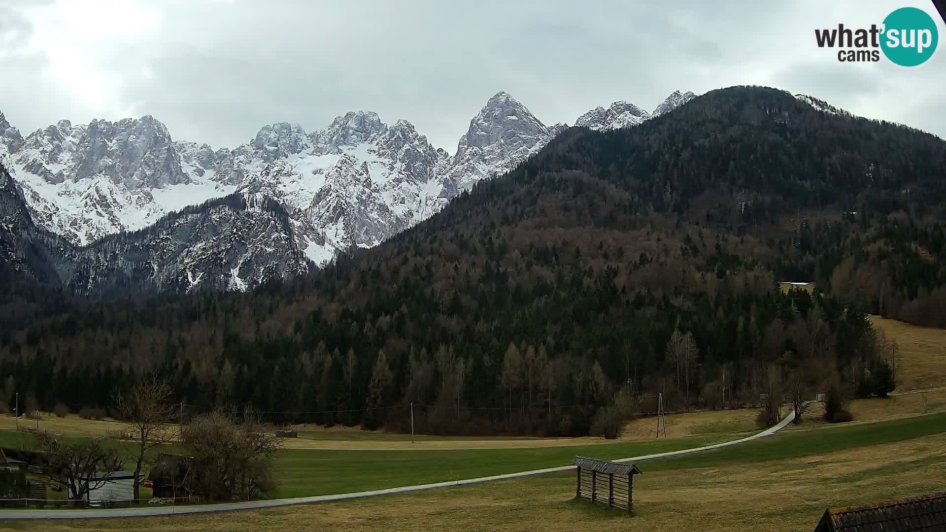 Gozd Martuljek – Špikova skupina