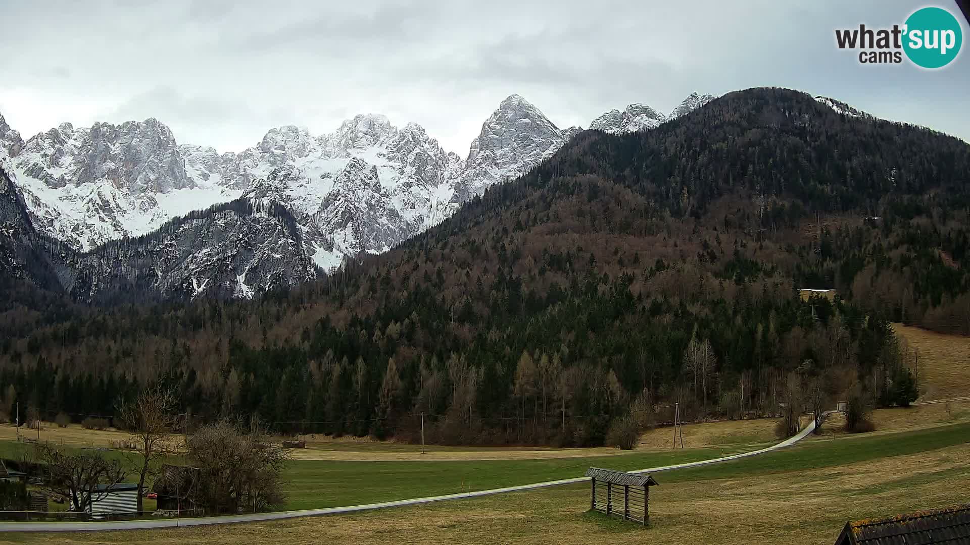 Gozd Martuljek – Špikova skupina