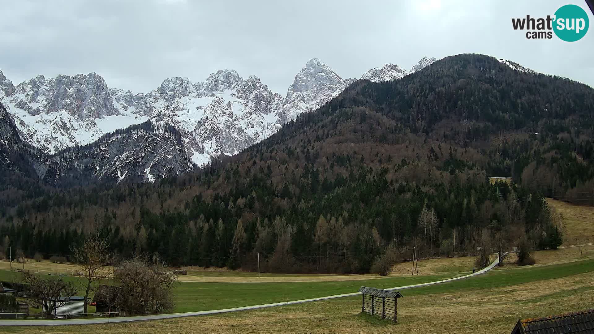Gozd Martuljek – planinski lanac Špik