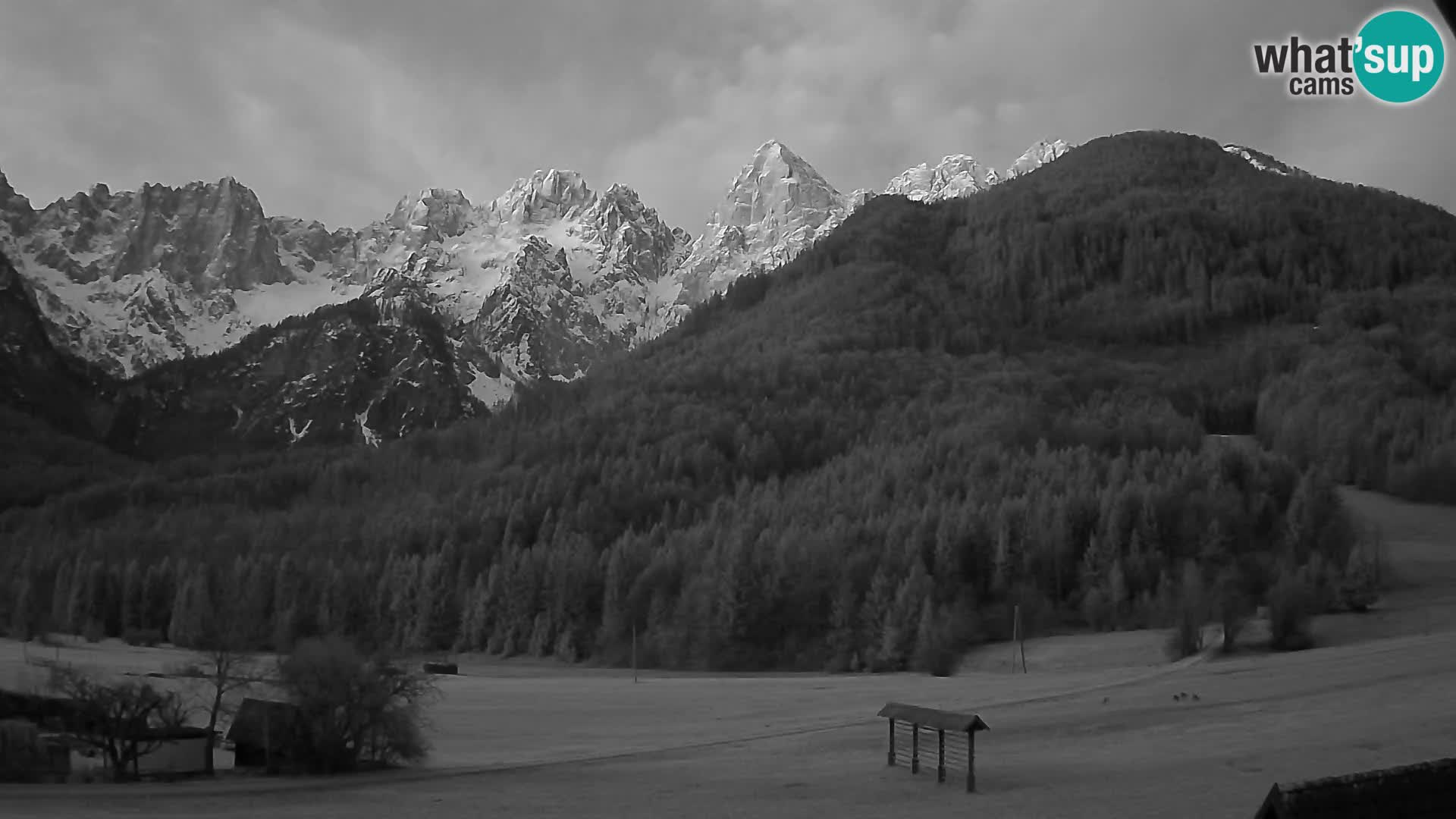 Gozd Martuljek – Špik Mountain Group