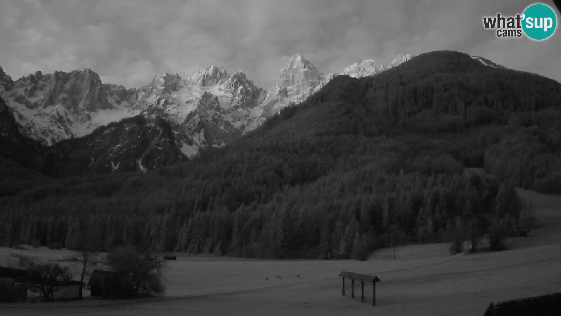 Gozd Martuljek – Špik Mountain Group