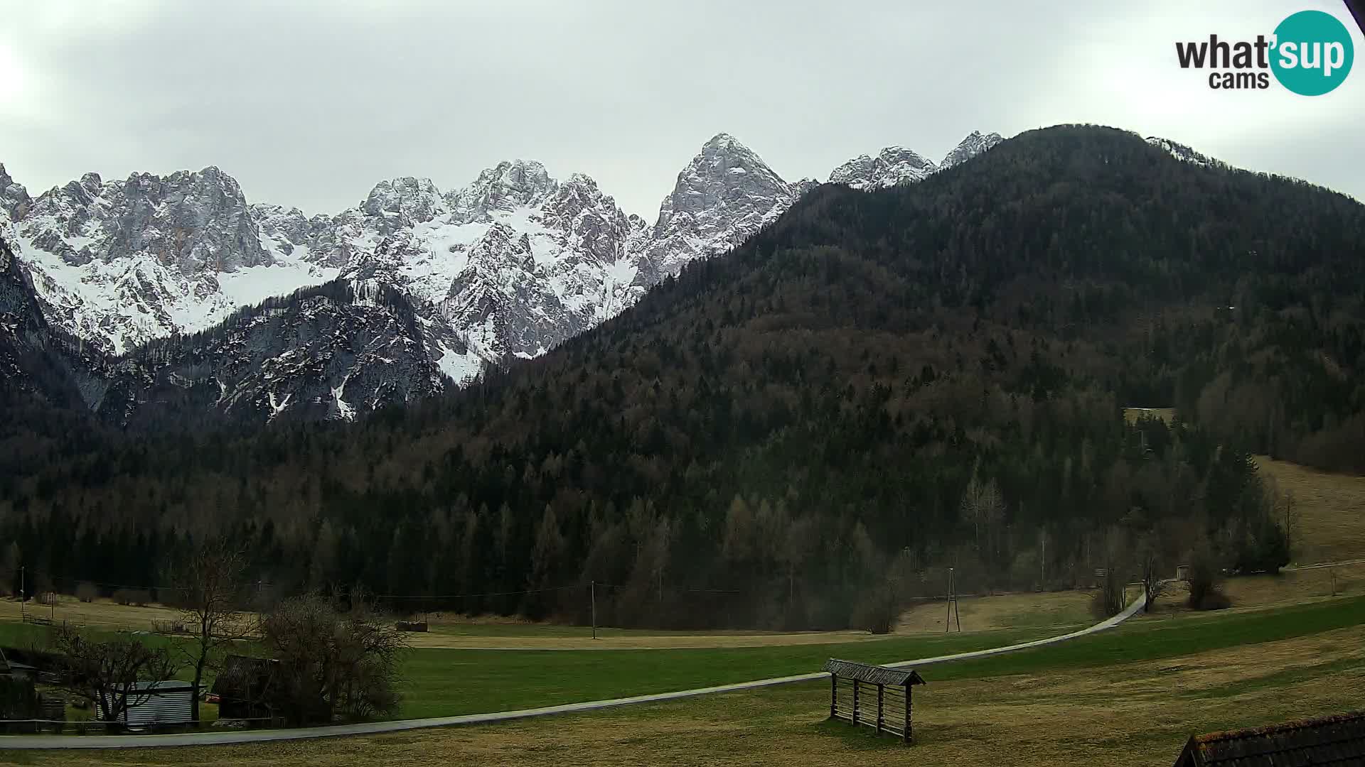 Gozd Martuljek – Špik Mountain Group