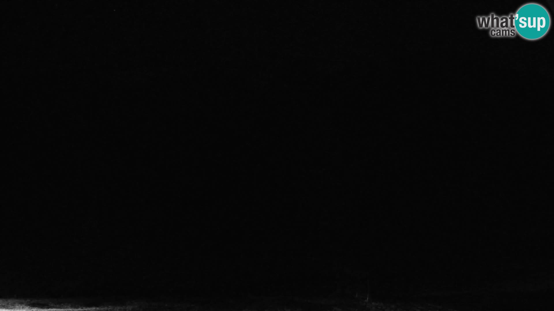 Gozd Martuljek – Špik Mountain Group