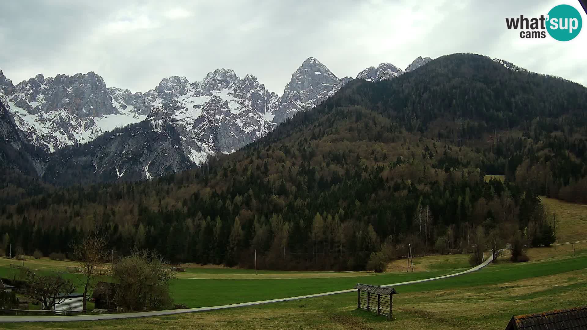 Gozd Martuljek – Špik Mountain Group