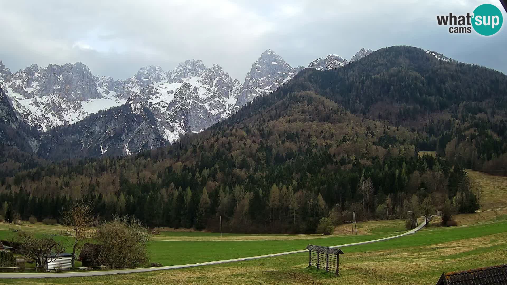 Gozd Martuljek – Špik Mountain Group