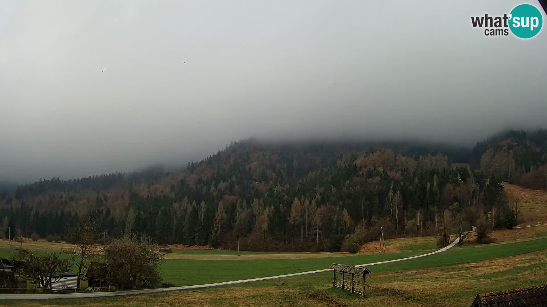 Gozd Martuljek – Špik Mountain Group