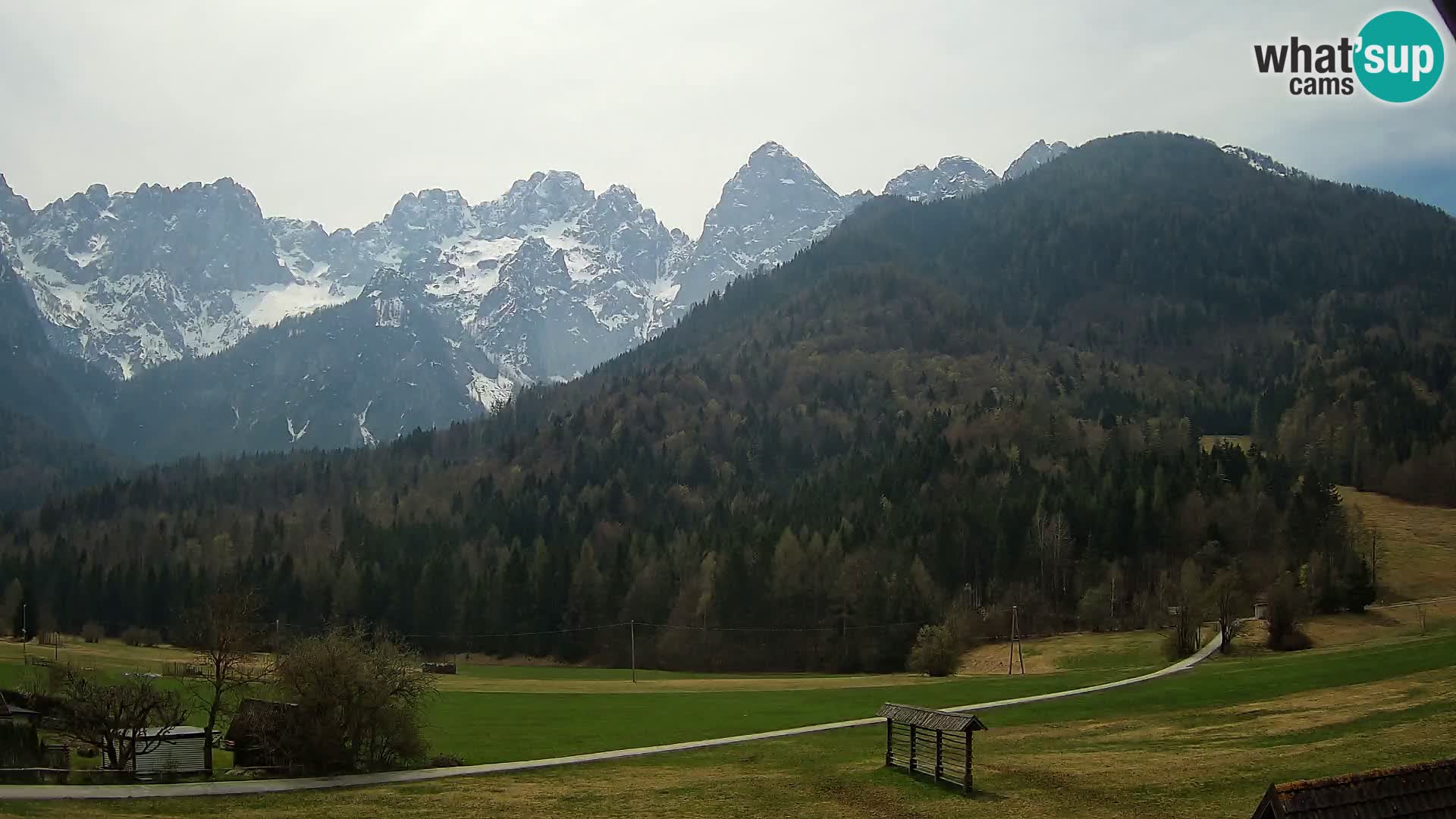 Gozd Martuljek – Špik Mountain Group