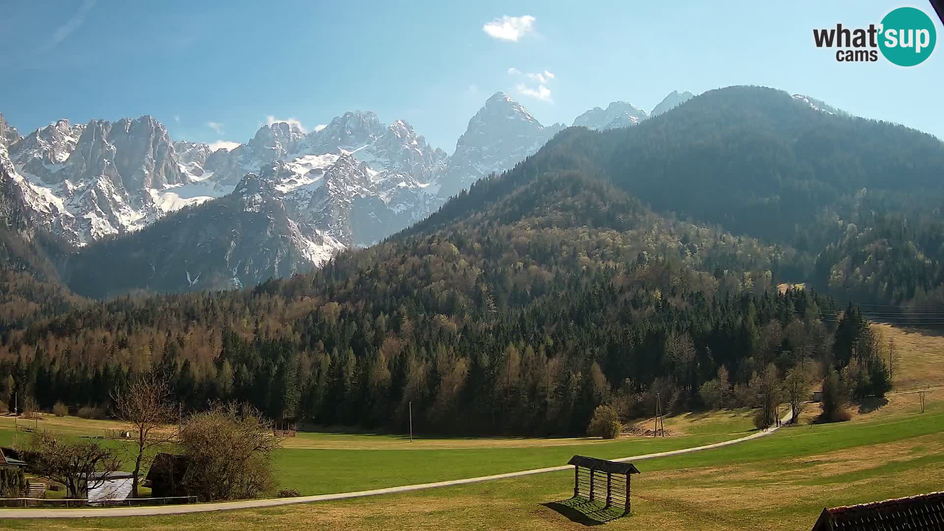 Gozd Martuljek – Špikova skupina