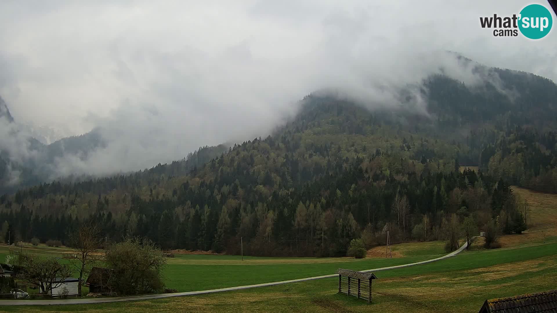 Gozd Martuljek – Špik Mountain Group