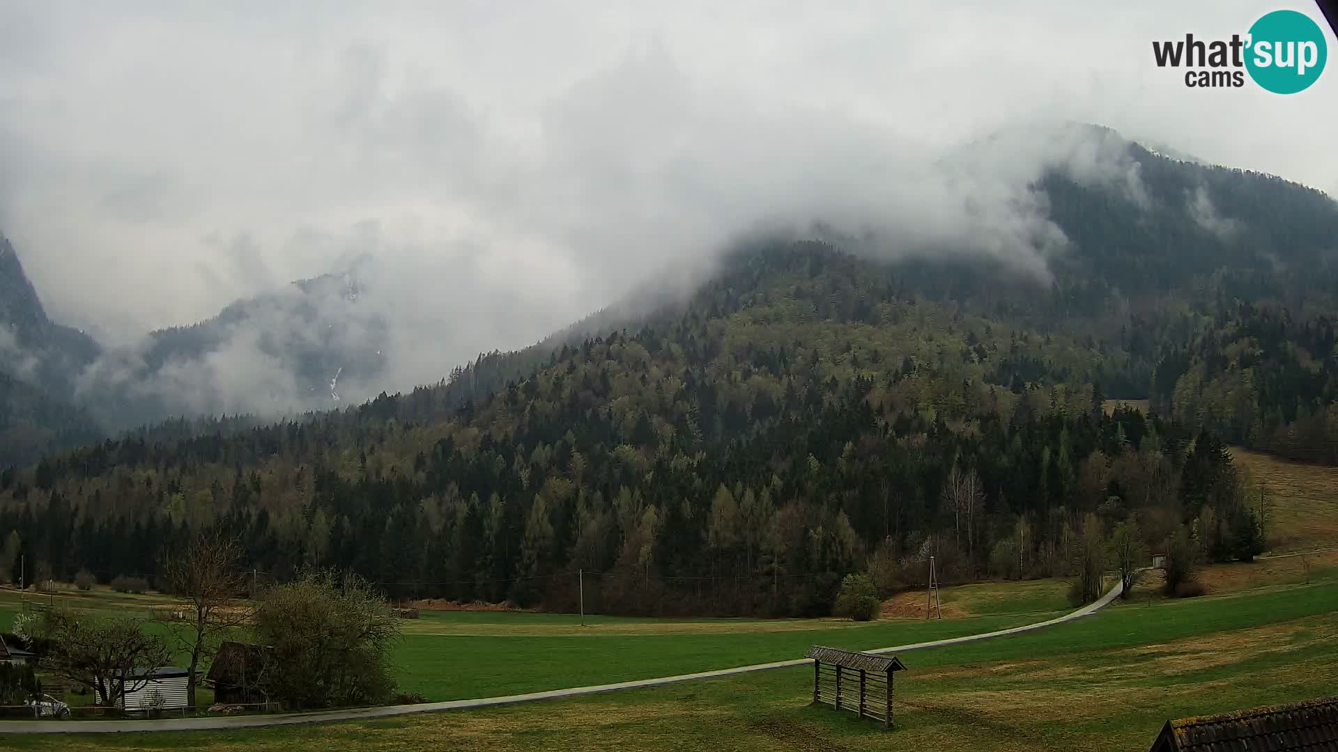 Gozd Martuljek – planinski lanac Špik