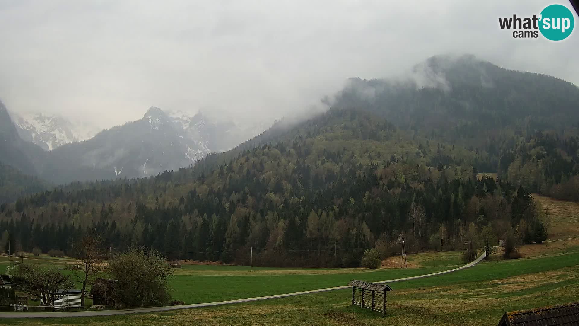 Gozd Martuljek – Špik Mountain Group