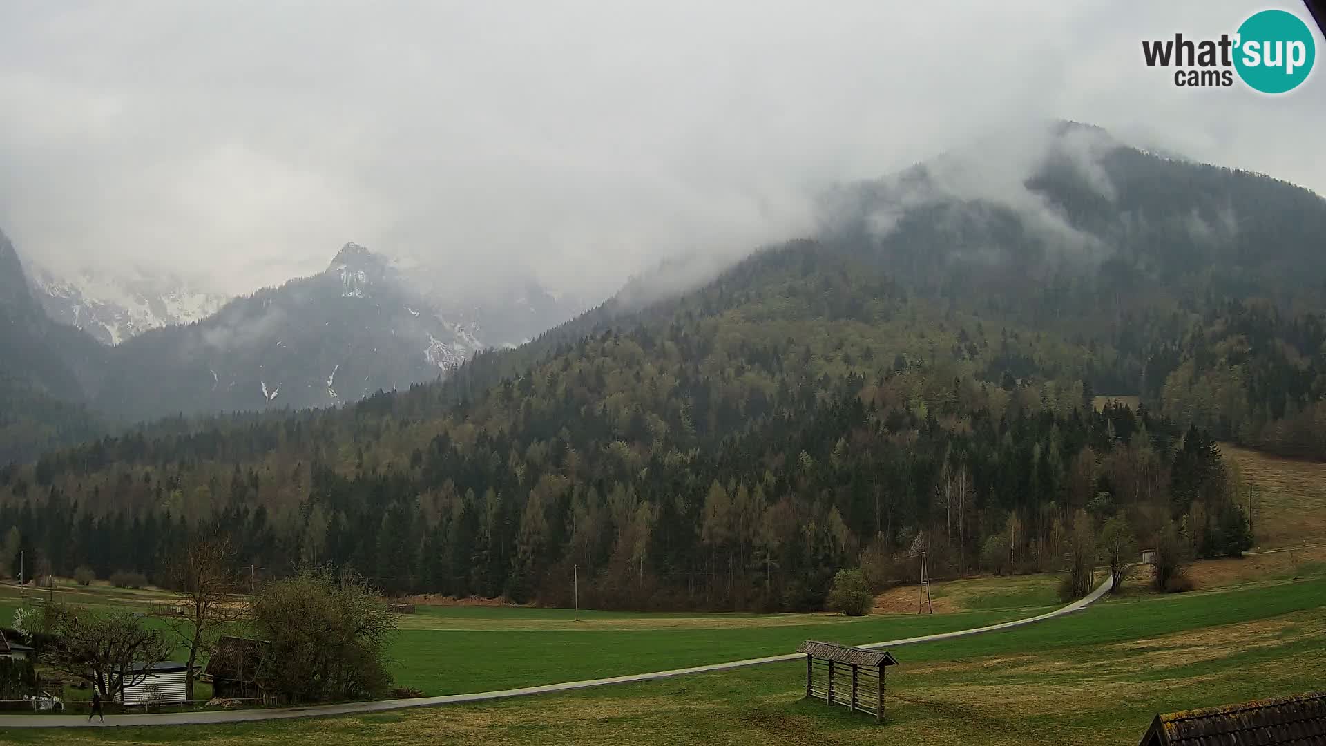 Gozd Martuljek – planinski lanac Špik