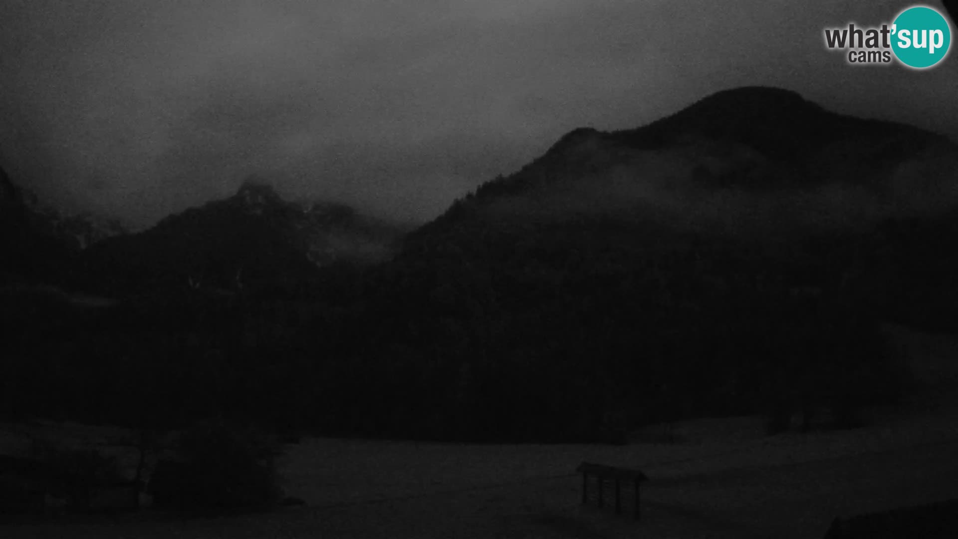 Gozd Martuljek – planinski lanac Špik