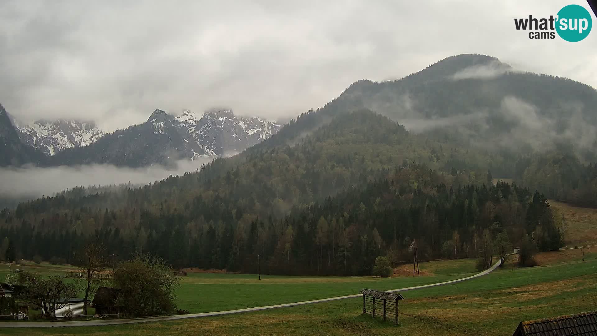 Gozd Martuljek – Špik Mountain Group