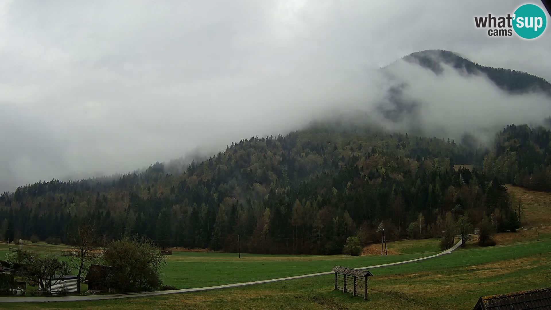 Gozd Martuljek – Špik Mountain Group