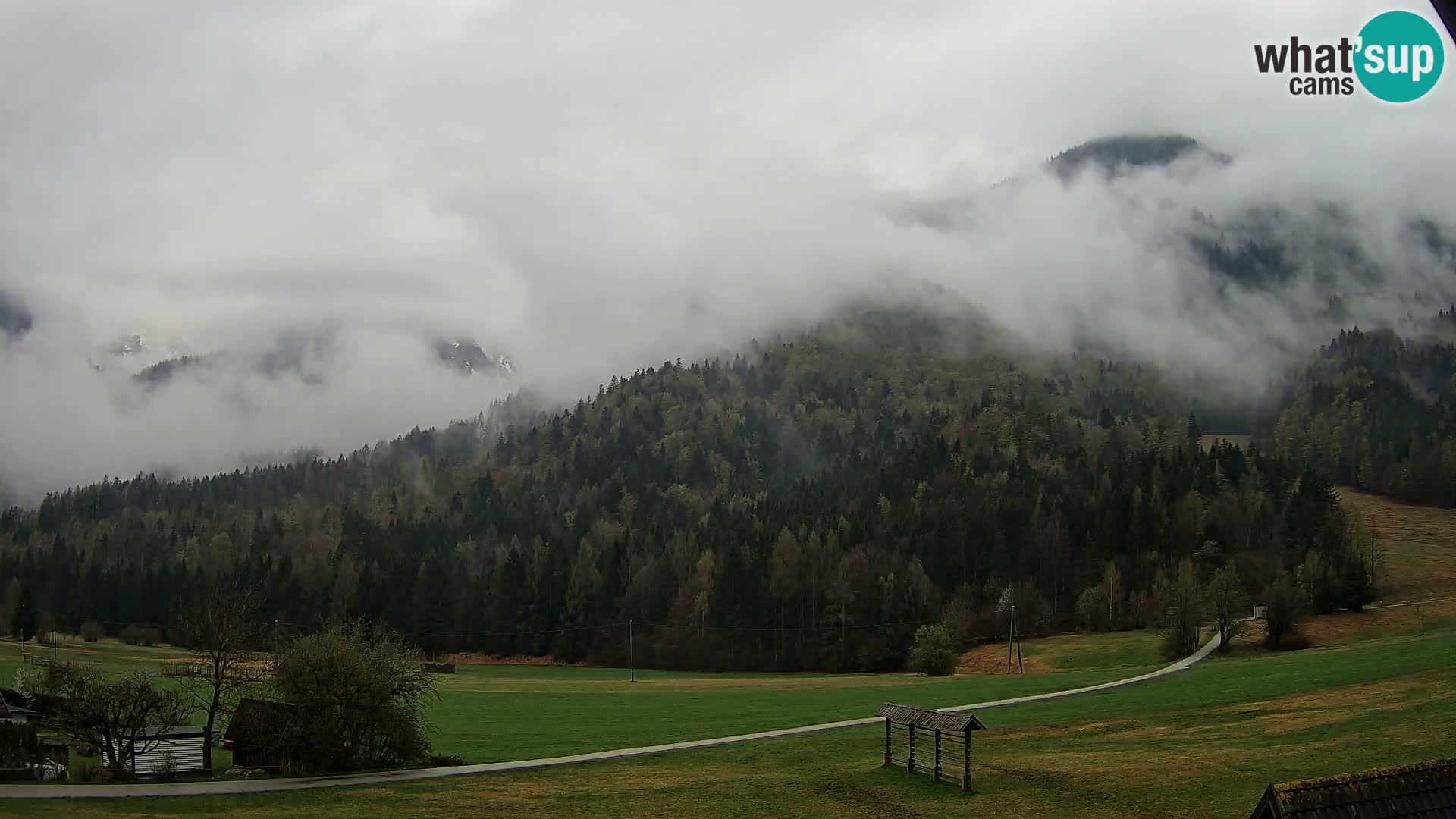 Gozd Martuljek – Špik Mountain Group