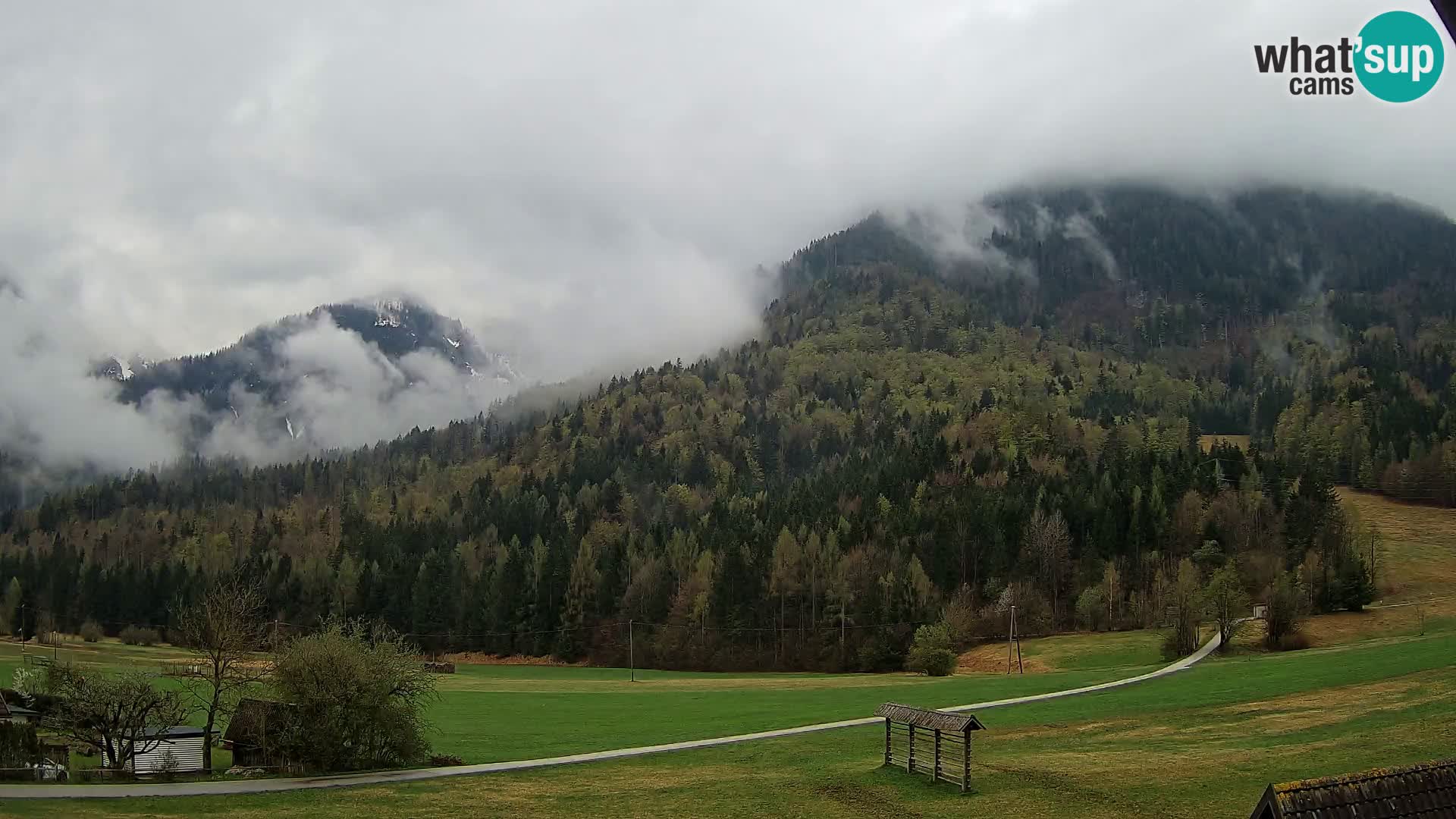 Gozd Martuljek – Špik Mountain Group