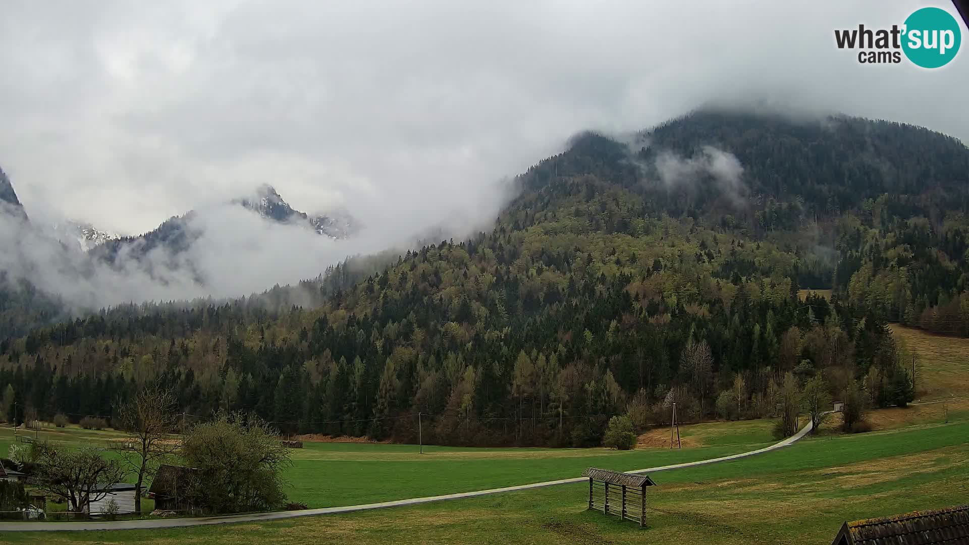 Gozd Martuljek – planinski lanac Špik