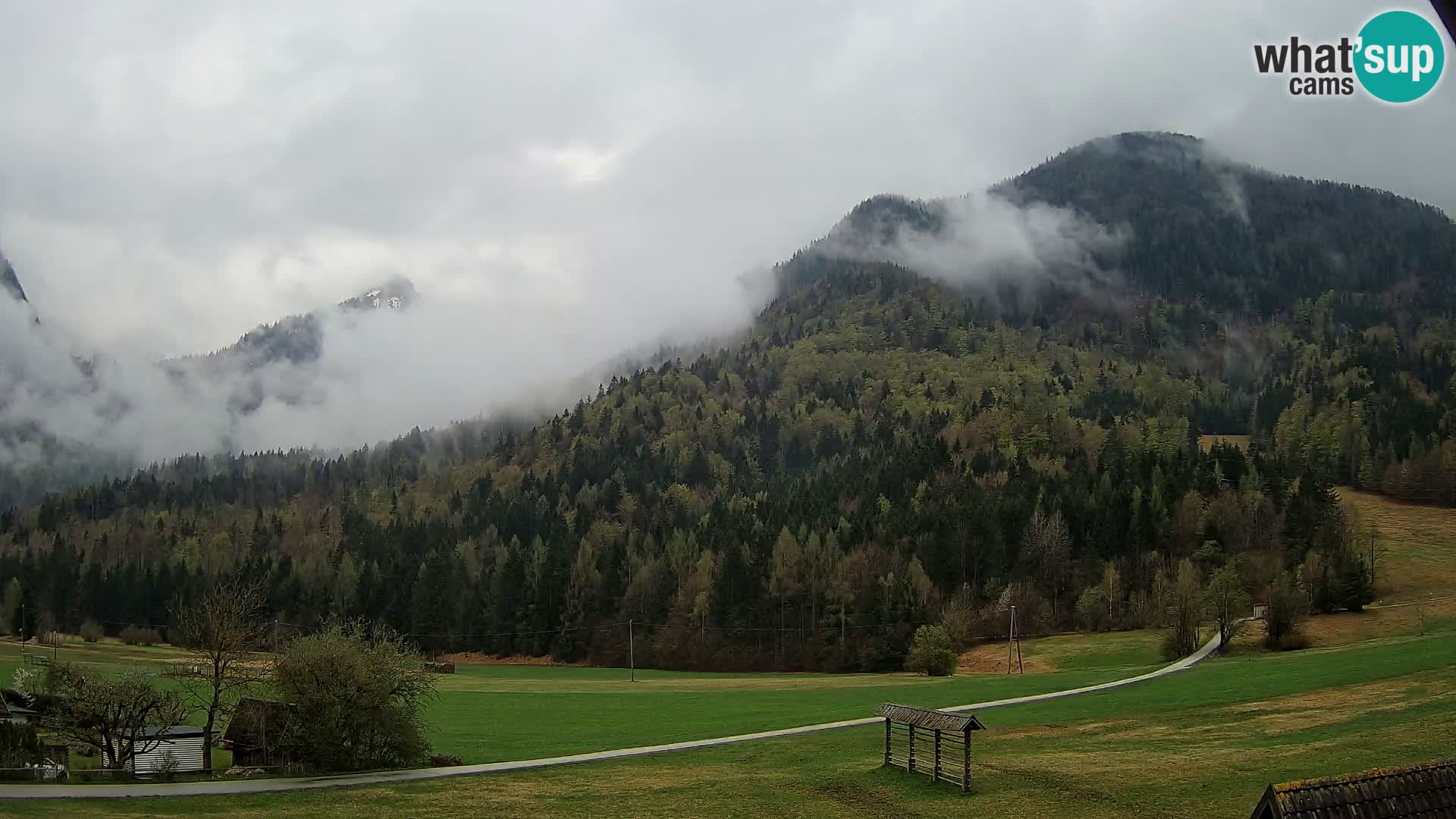 Gozd Martuljek – planinski lanac Špik