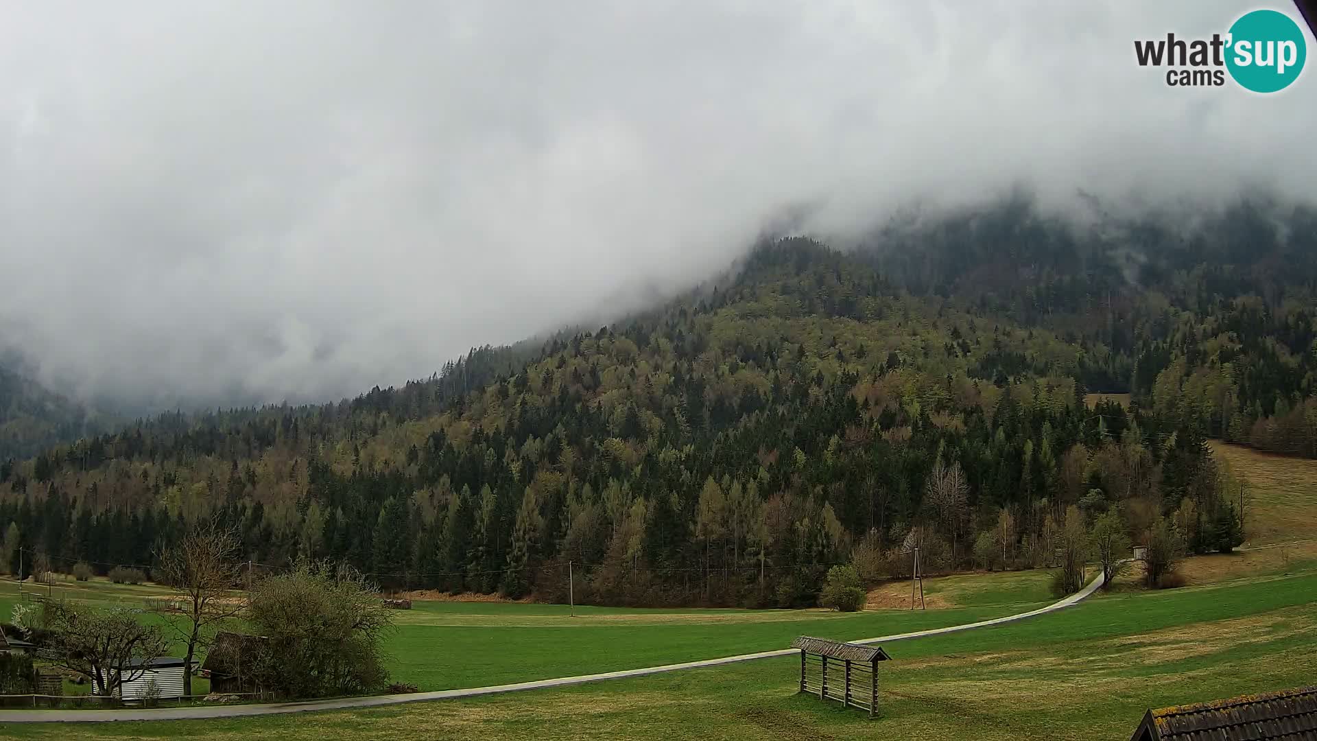 Gozd Martuljek – Špik Mountain Group