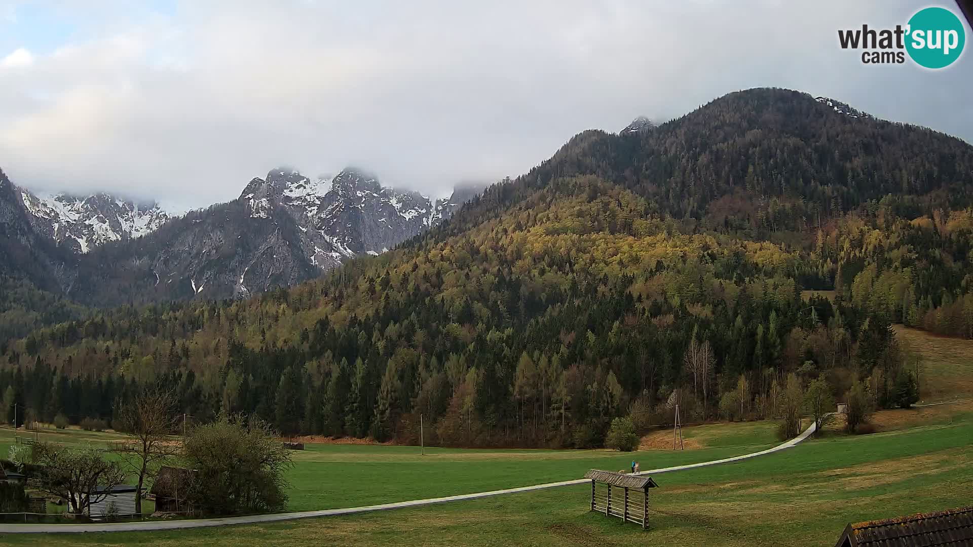 Gozd Martuljek – Špik Mountain Group