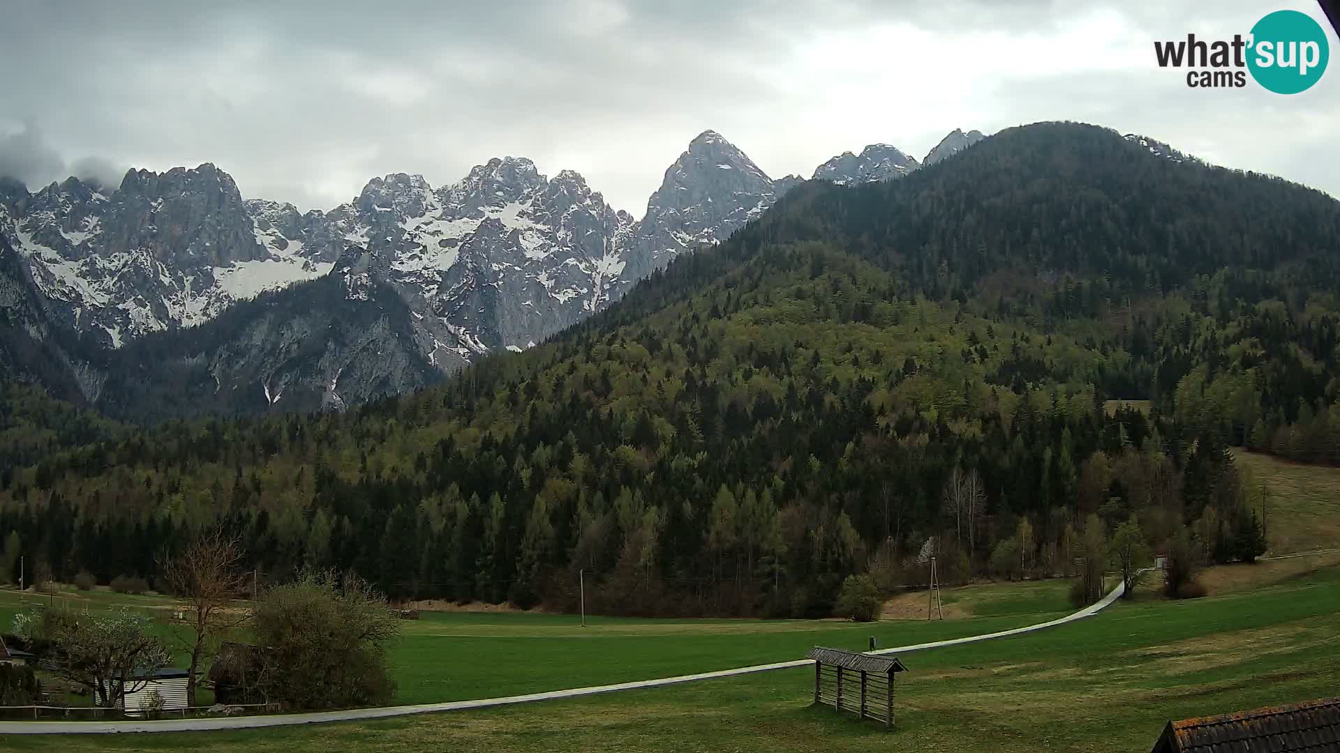 Gozd Martuljek – Špik Mountain Group