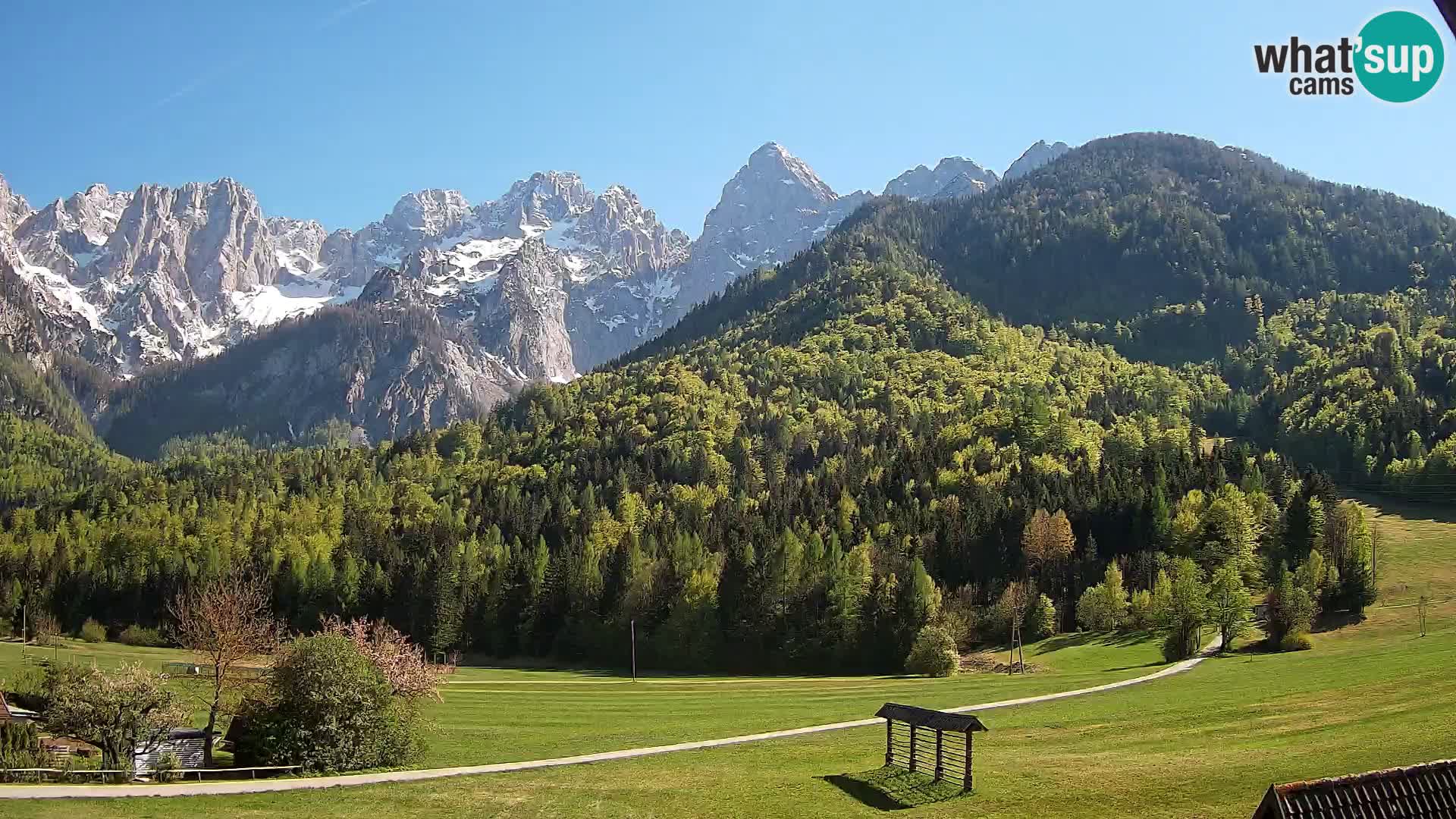 Gozd Martuljek – Špik Mountain Group