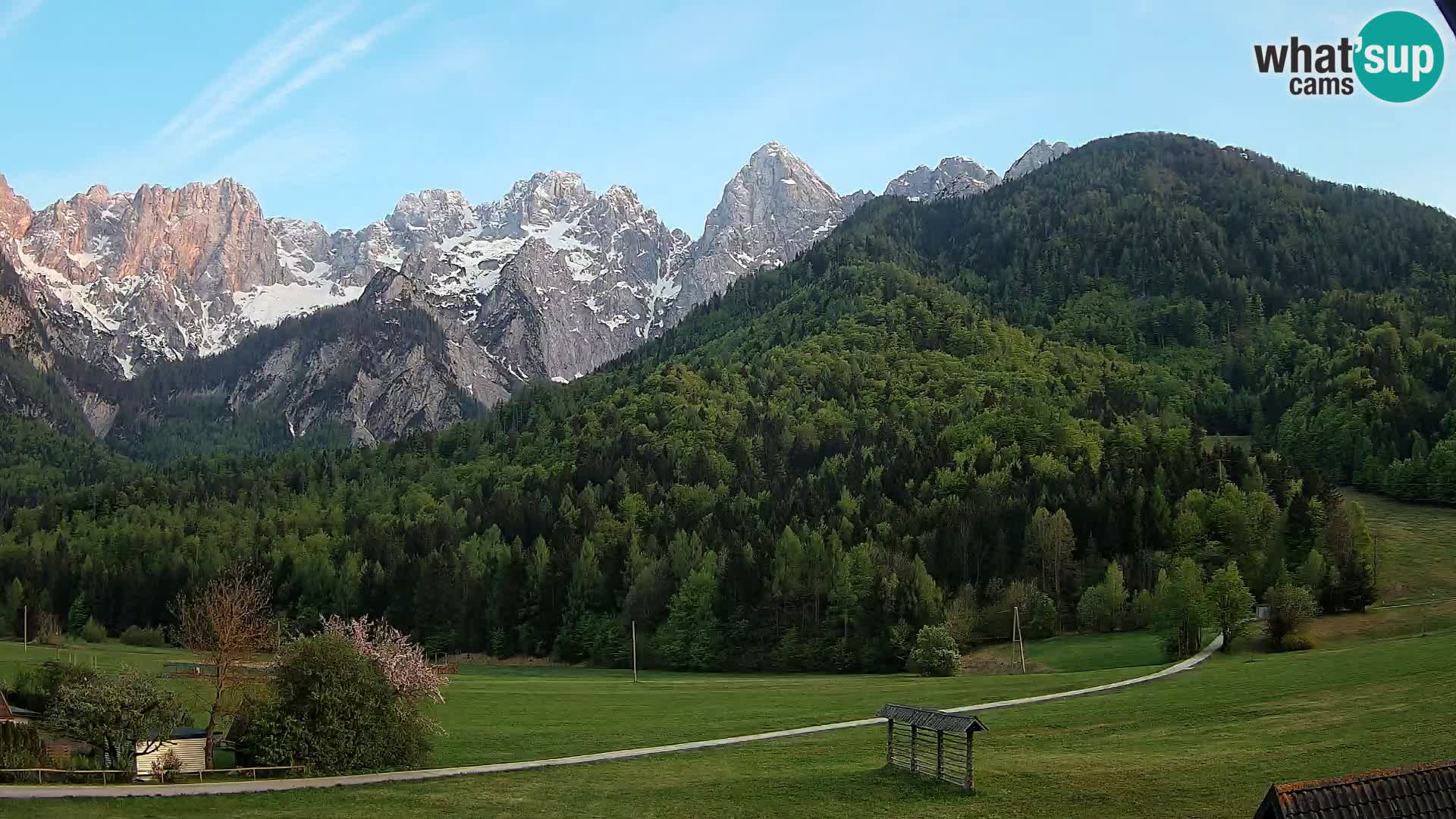 Gozd Martuljek – Špikova skupina
